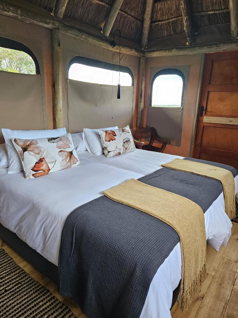 Addo Elephant Safari Lodge - Bellevue Forest Reserve