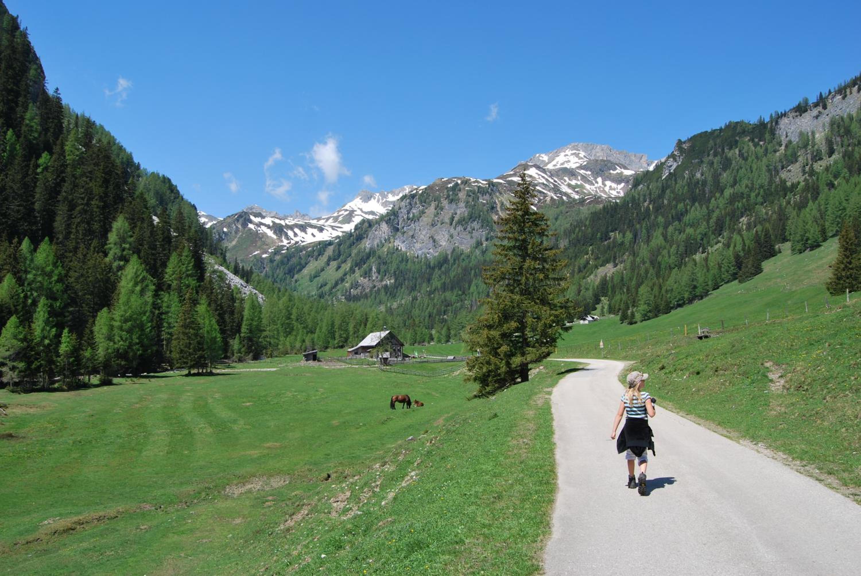 Murtalhütte