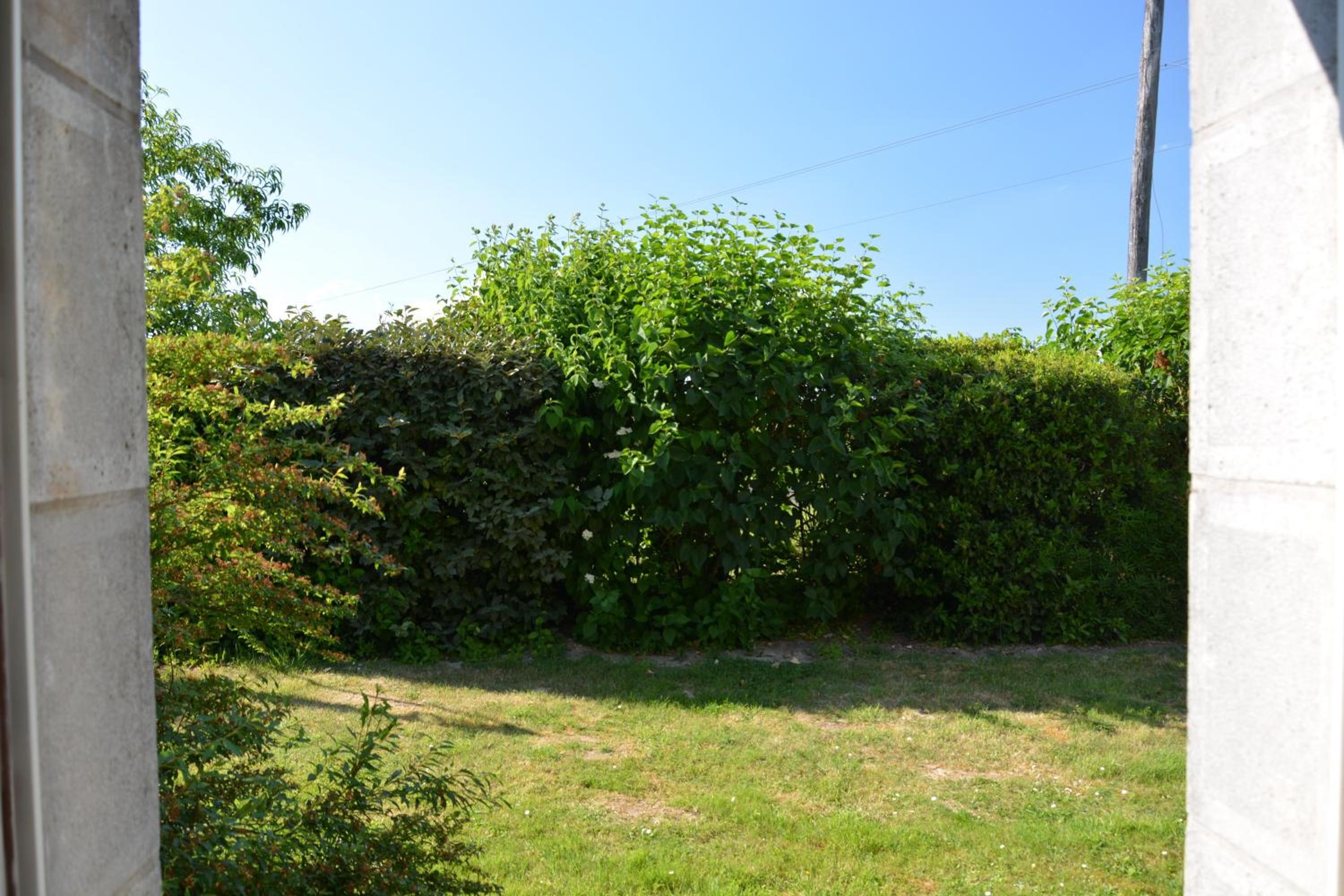 Photo 20