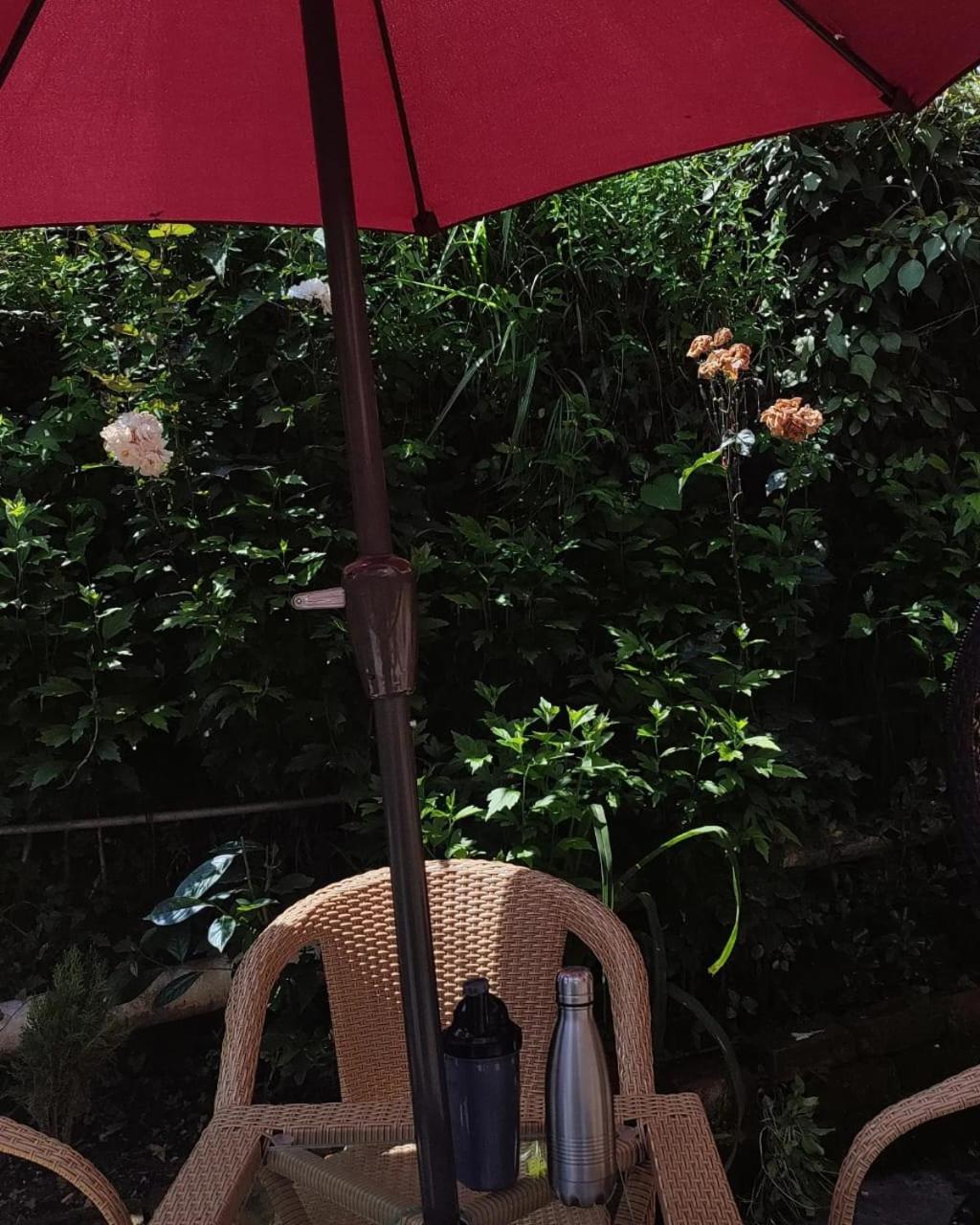 त्रिnity homestay