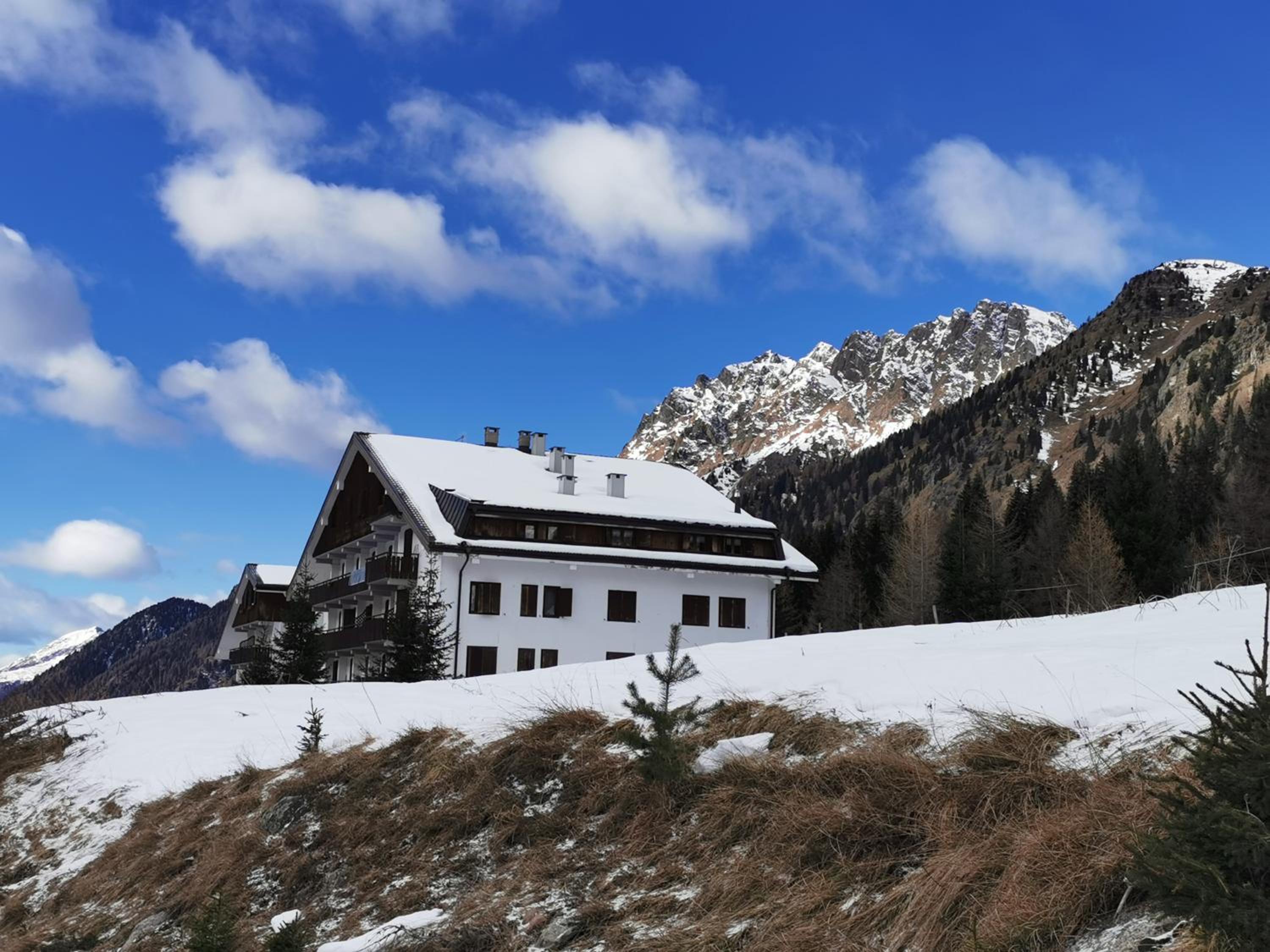 Casina Alpina trekking Passo S Pellegrino view 2