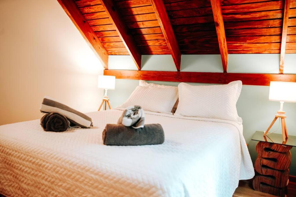 Casa Alice Cabin House El Yunque