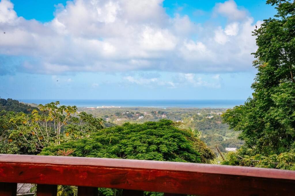 Casa Alice Cabin House El Yunque