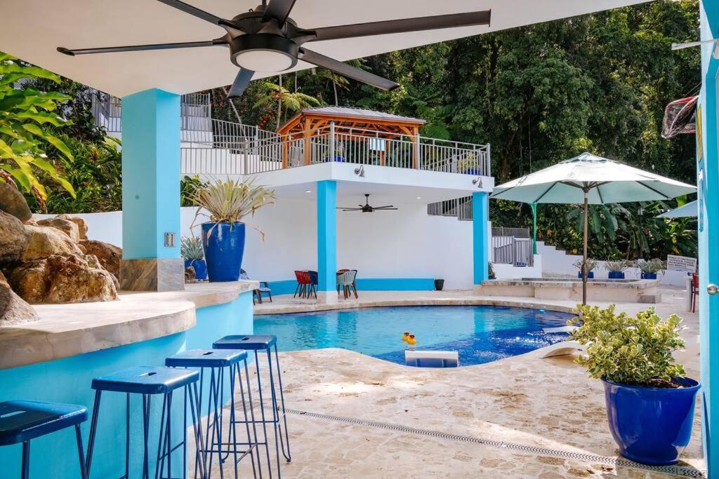 Casa Alice Cabin House El Yunque