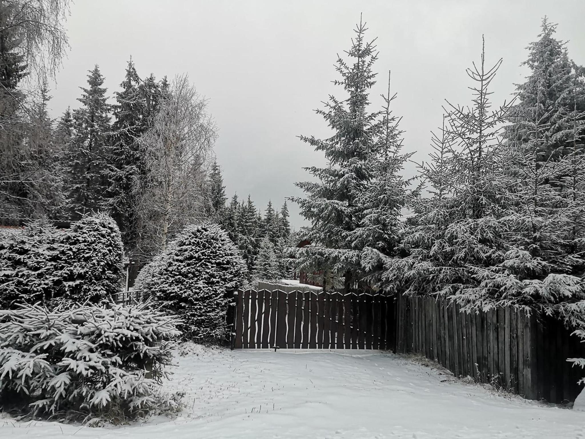 Forest Guest House