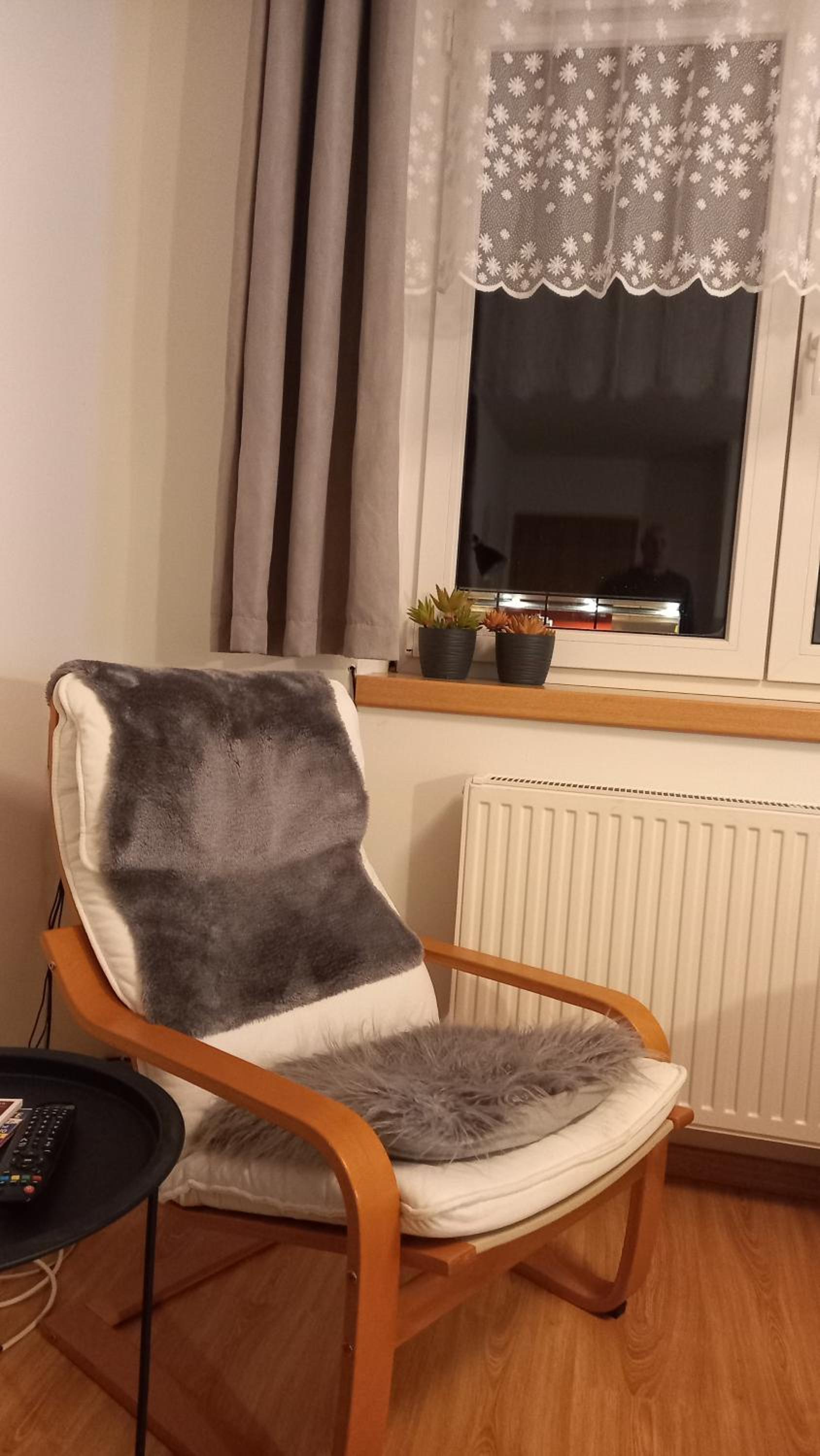 Harrachovský apartmán view 2