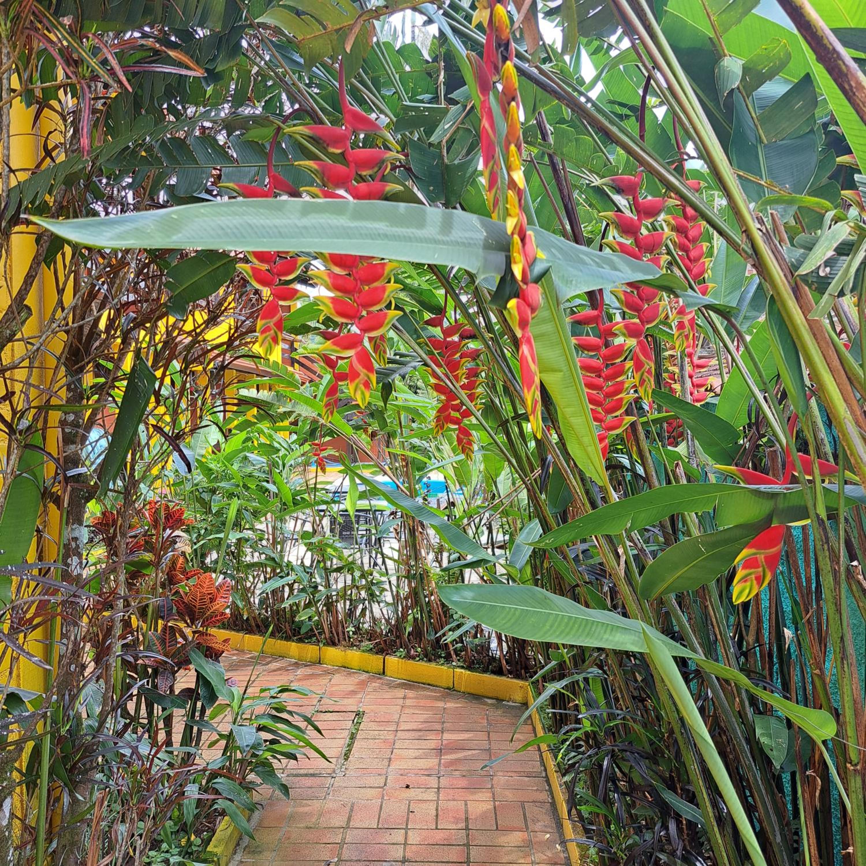 Pousada Trilha da Serra