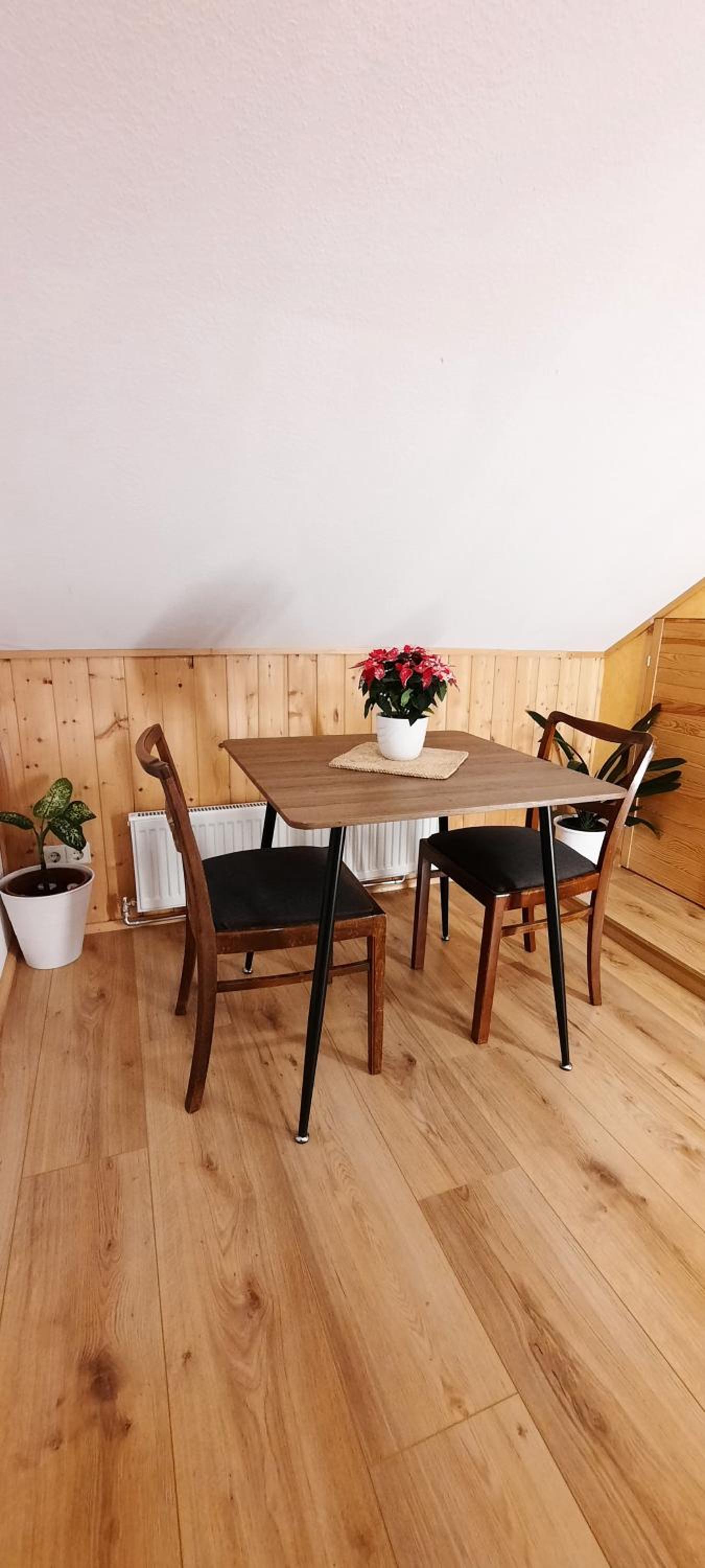 Gemütliches Apartment am Gottesberg