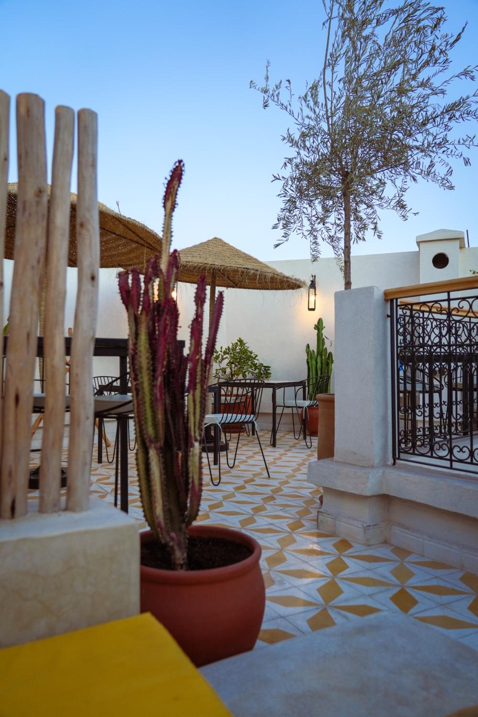 balance & terrace