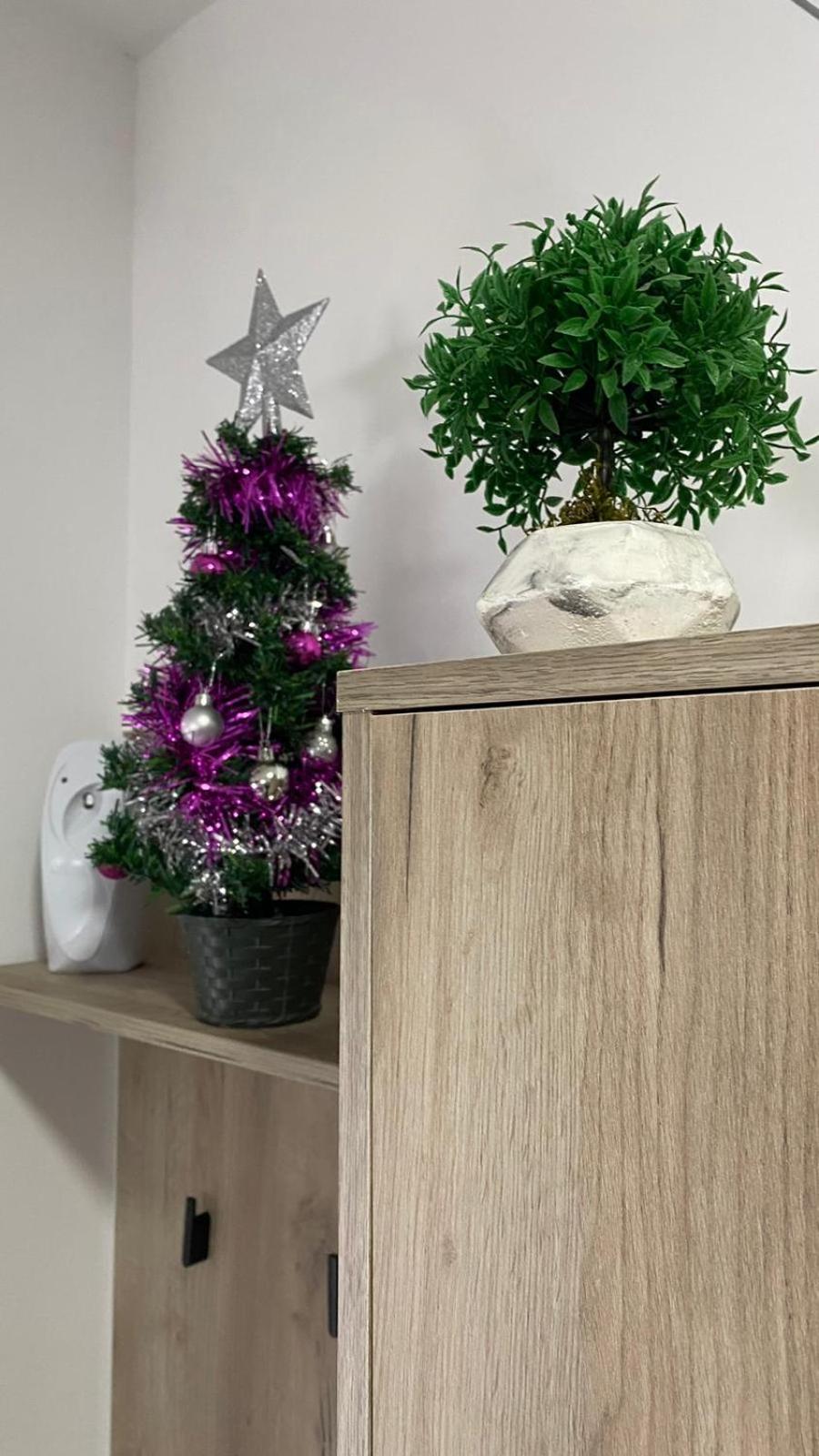 Apartman Anastasija Divcibare view 4