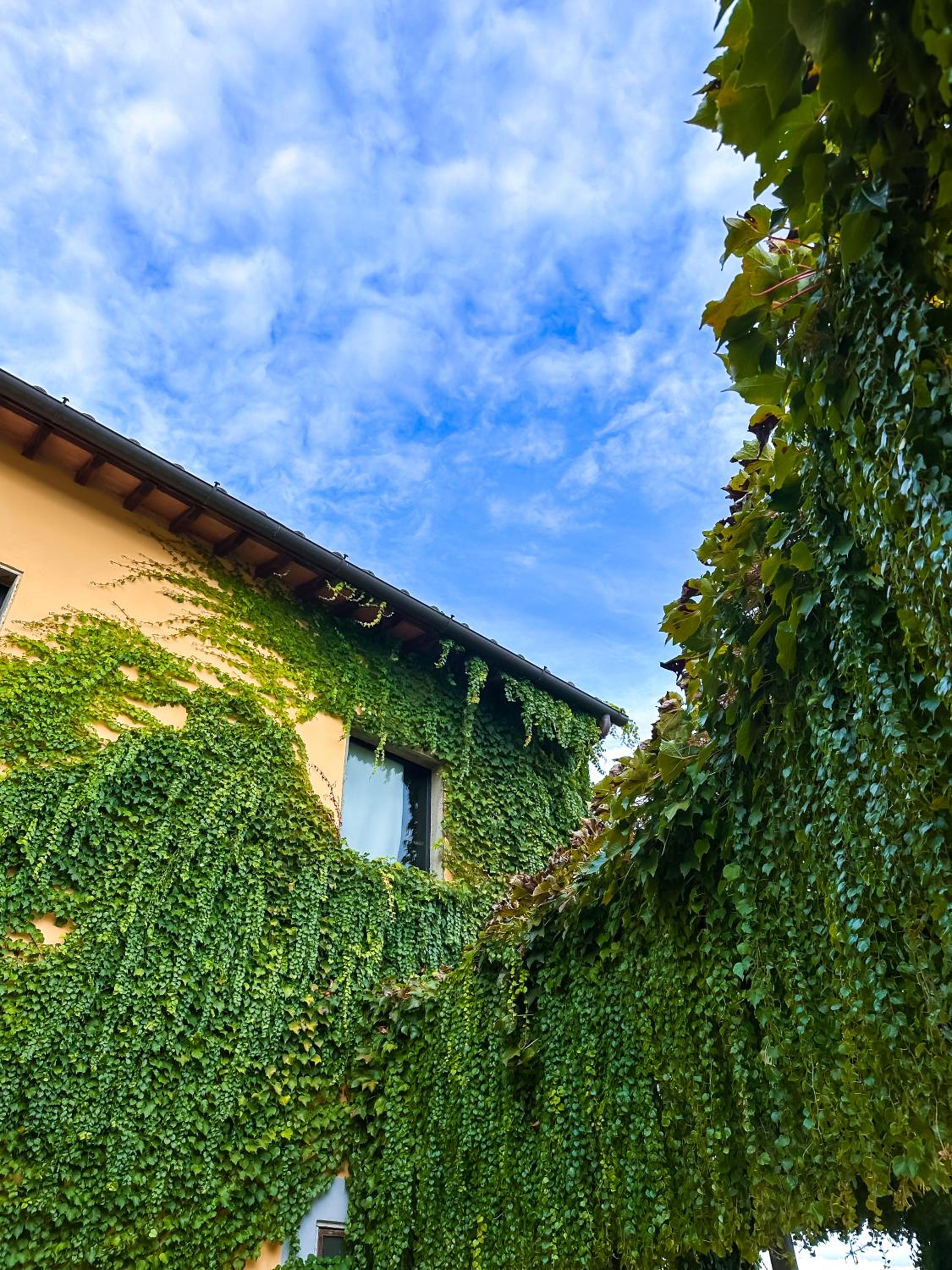 Tenuta Massabò