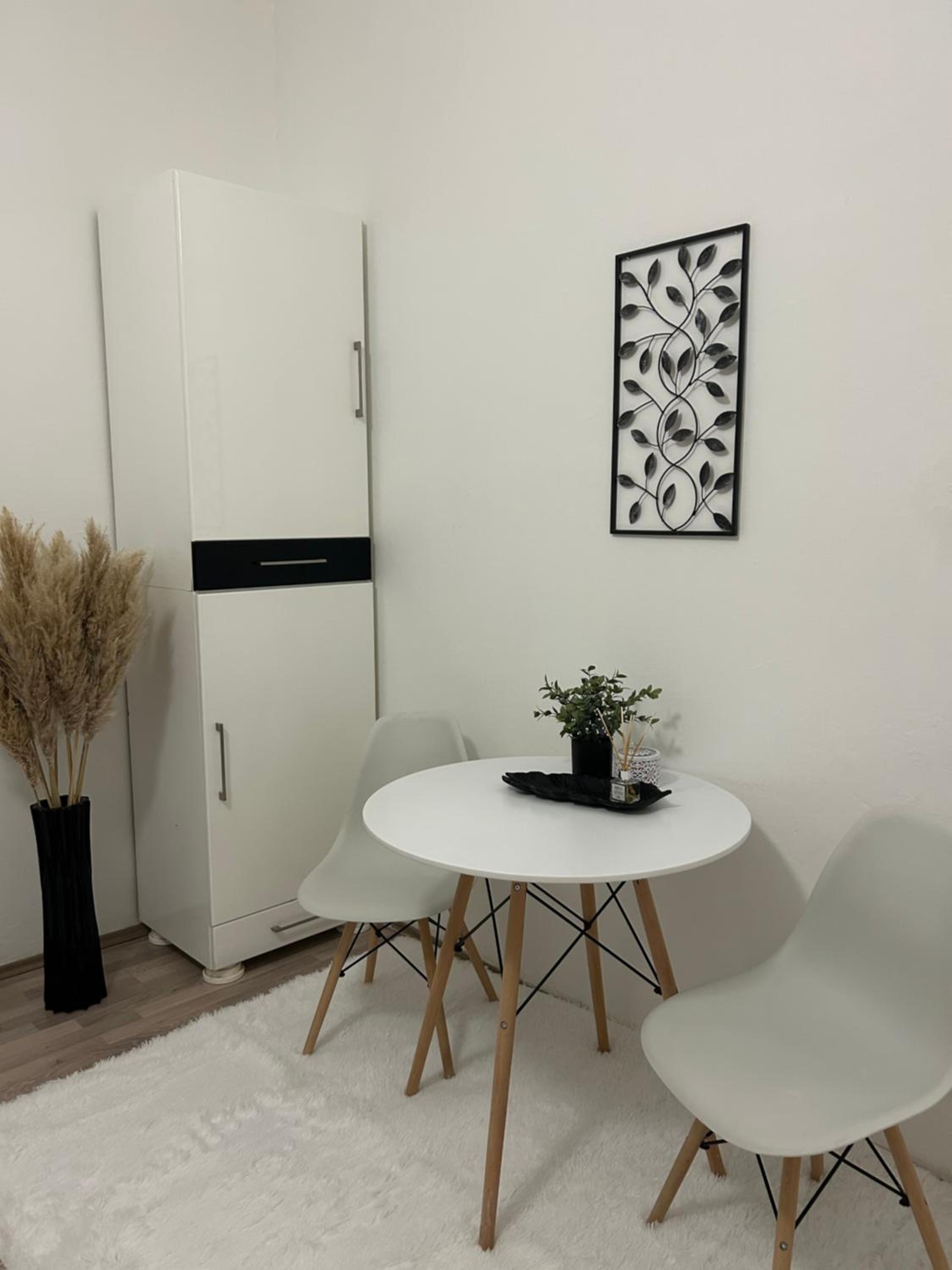 Central Park Apartment view 2