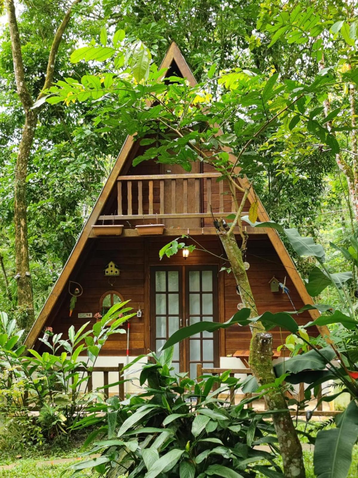 Floresta Encantada view 2