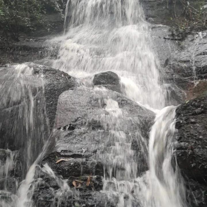 Pousada Recanto Das Araucárias