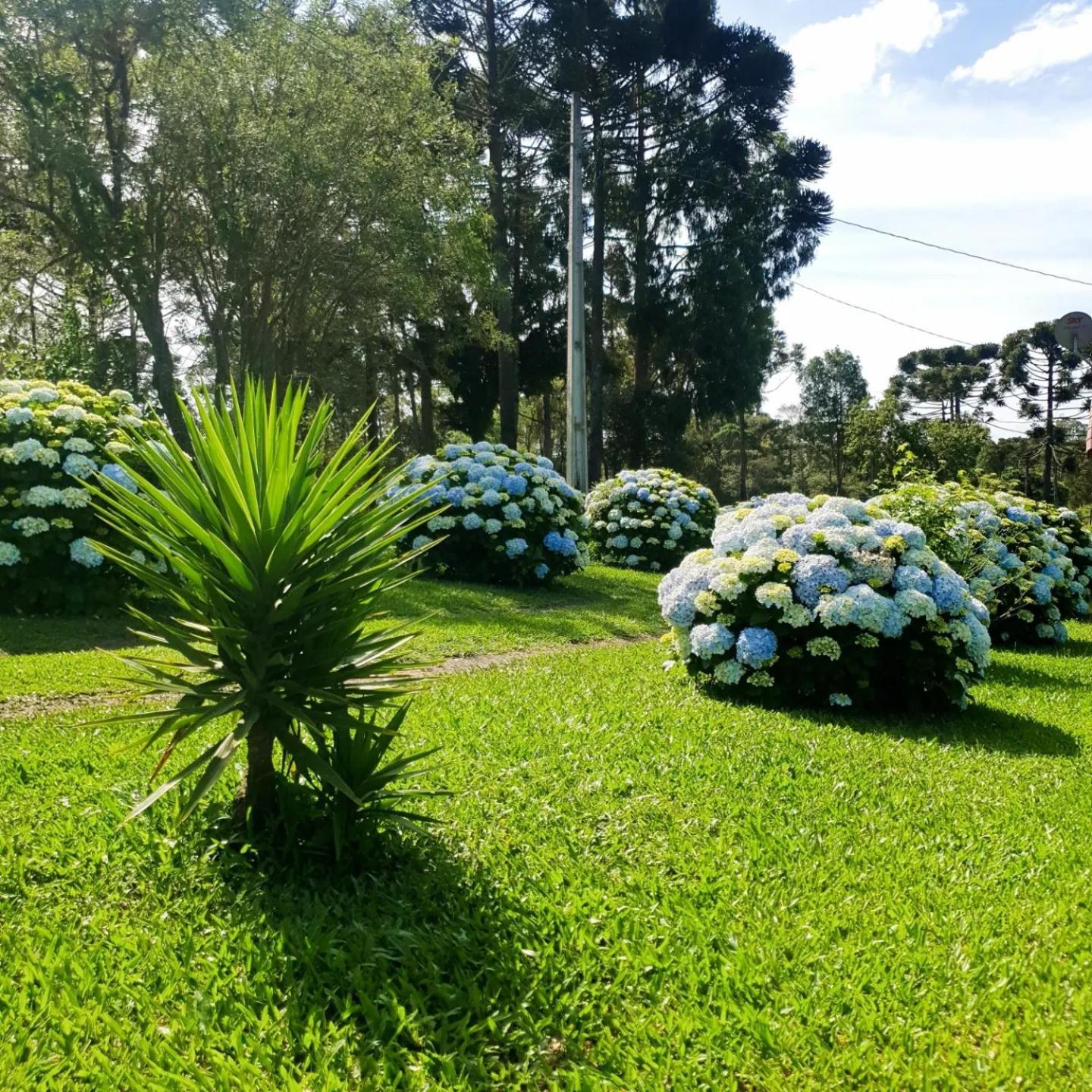 Pousada Recanto Das Araucárias