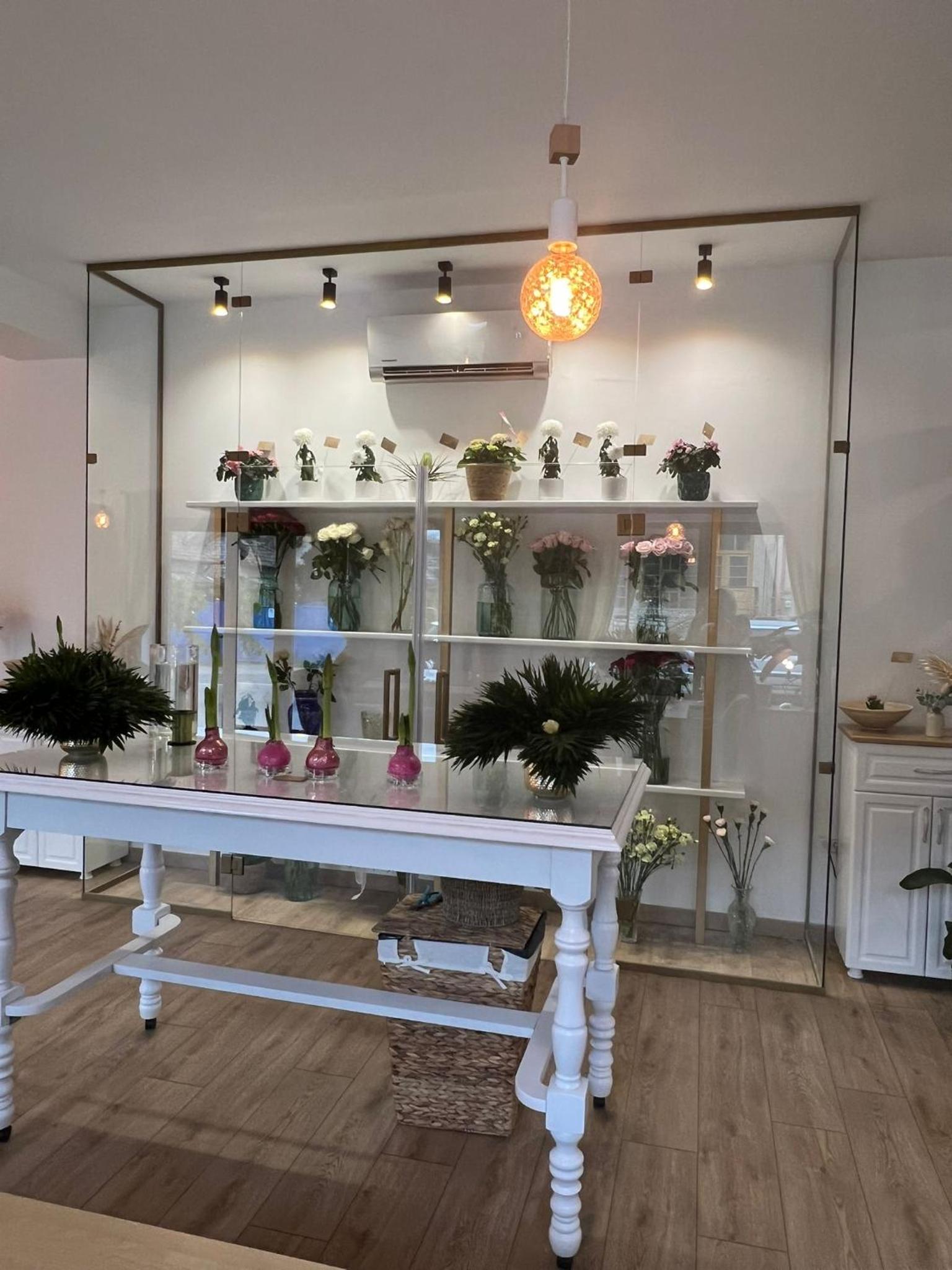 Apartament HERA