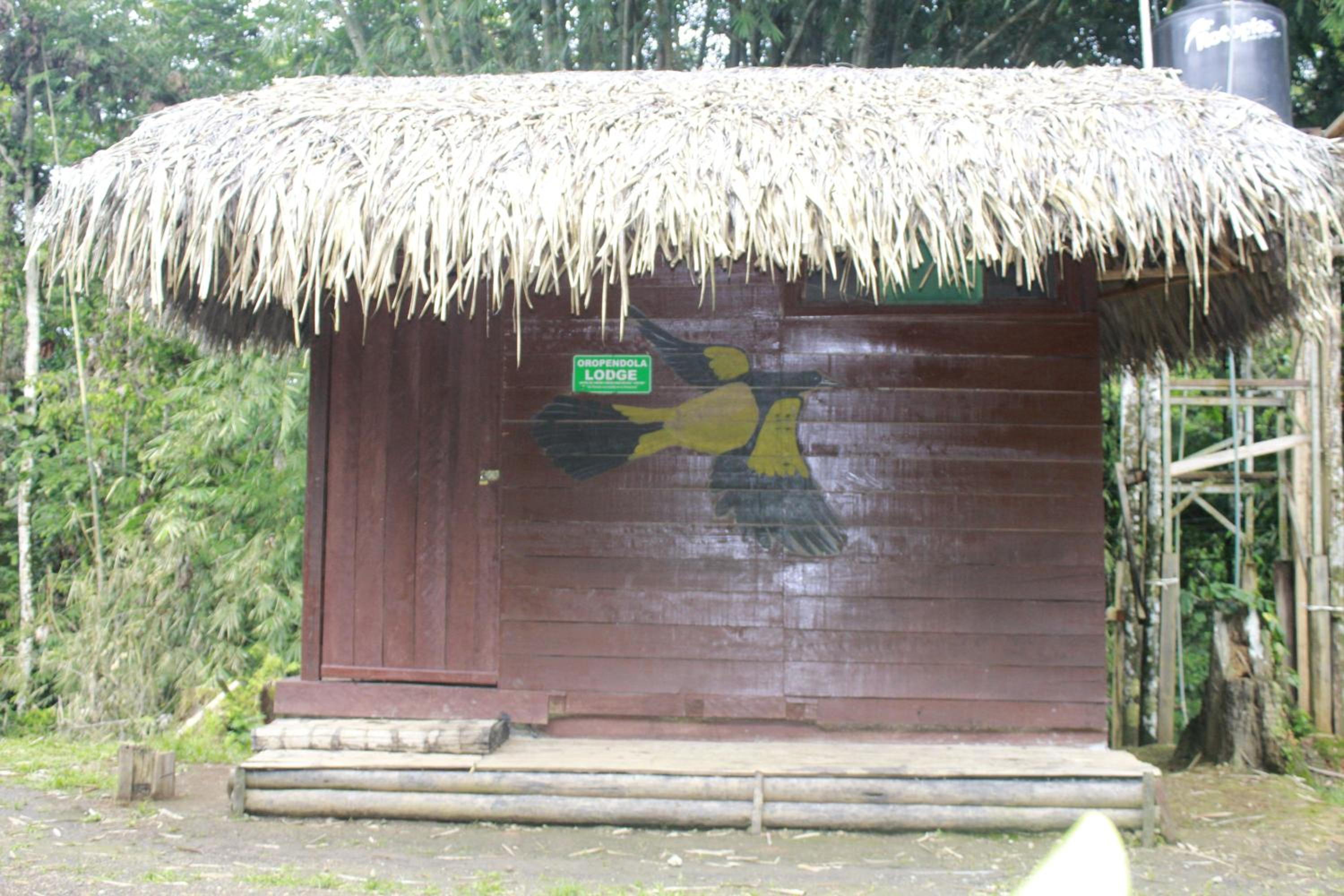 Shayari Lodge
