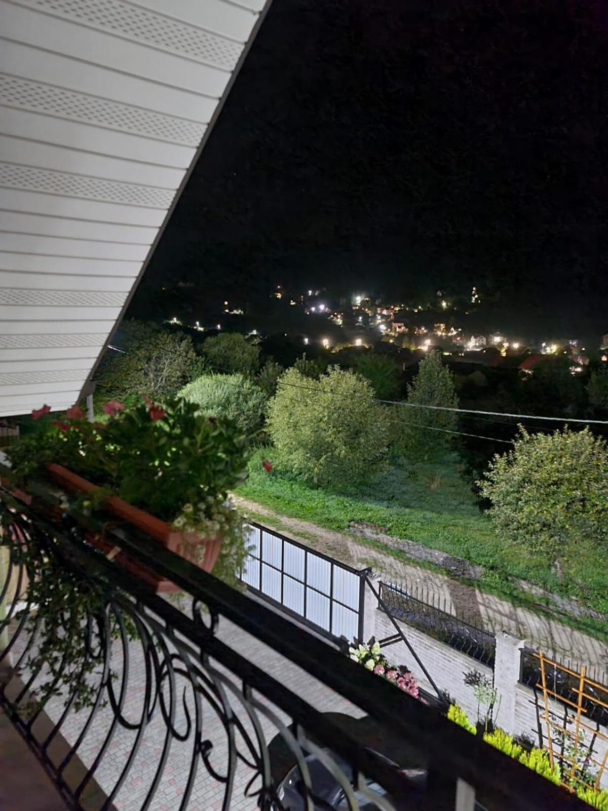 S'Vitt view 2