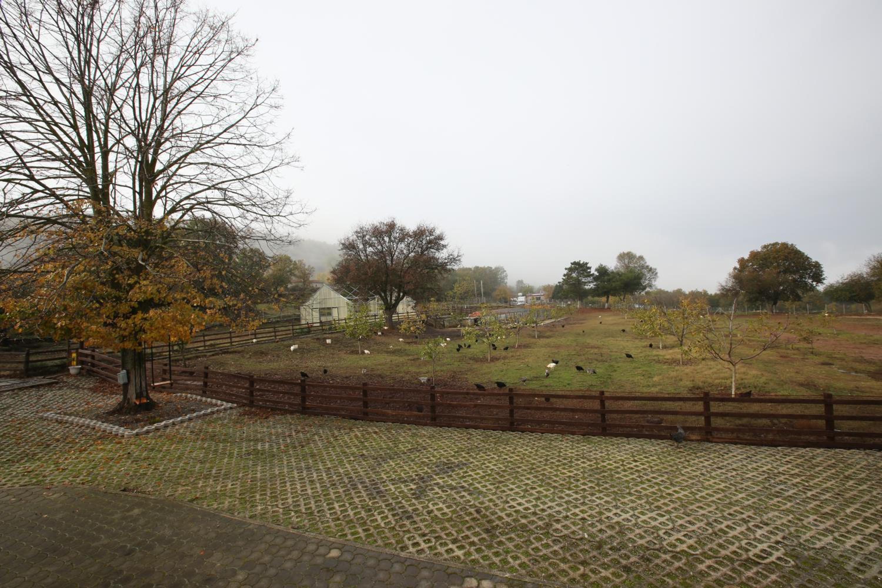 HEAVEN HOUSE photo 3