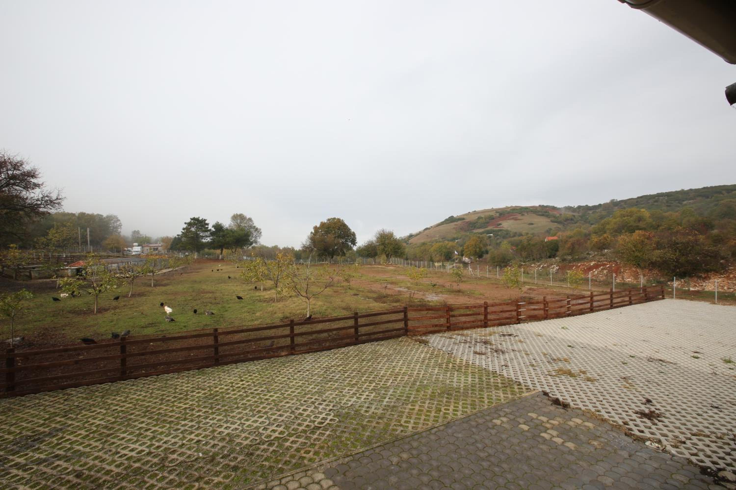 HEAVEN HOUSE photo 4