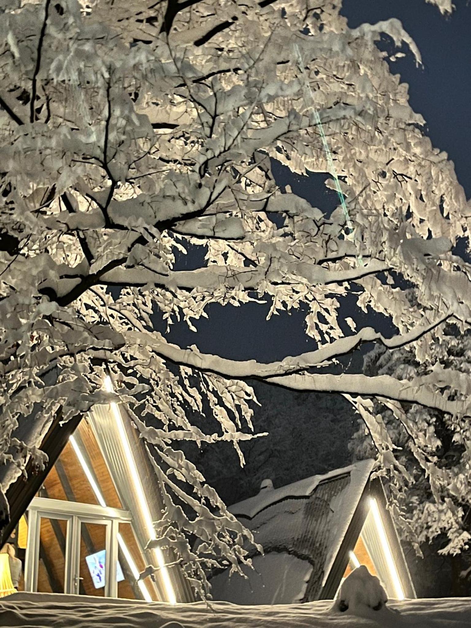 Loon Moon Mountain Chalets