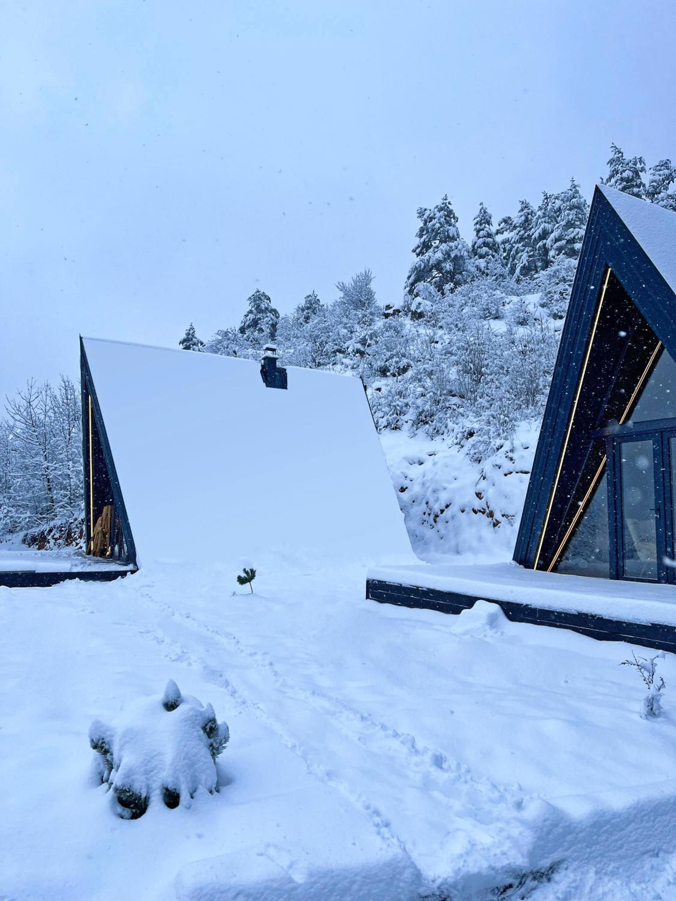 Loon Moon Mountain Chalets
