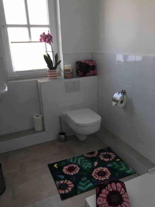 Ferienwohnung am Jenneberg mit KölnBonn- Ausblick