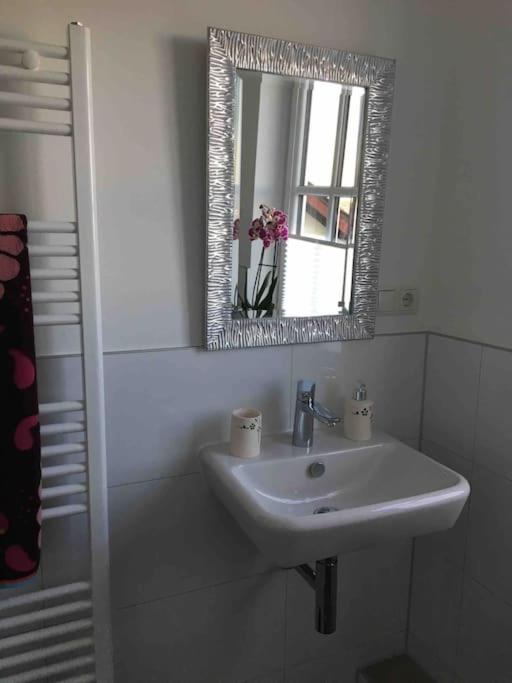 Ferienwohnung am Jenneberg mit KölnBonn- Ausblick