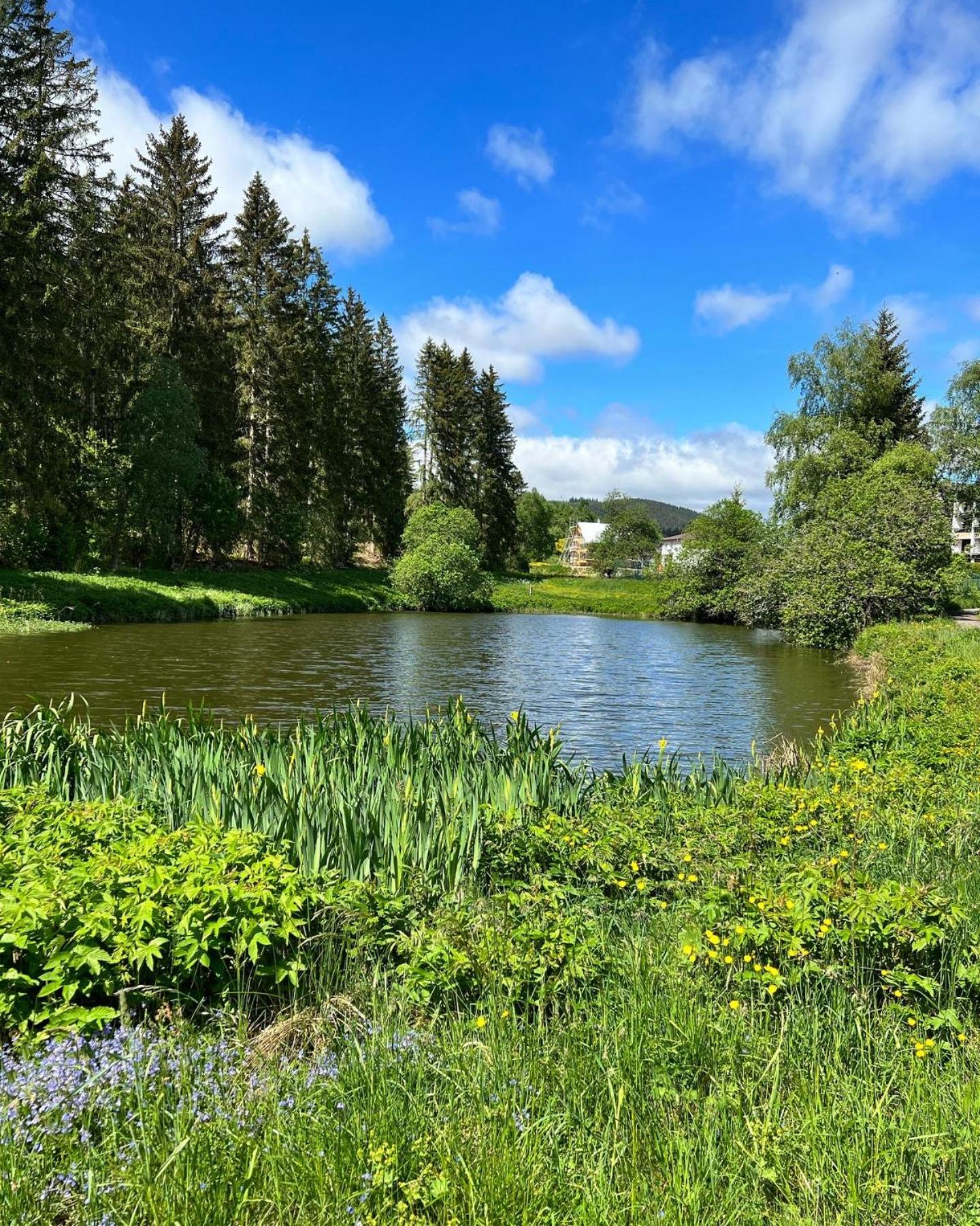 Haus im Schwarzwald