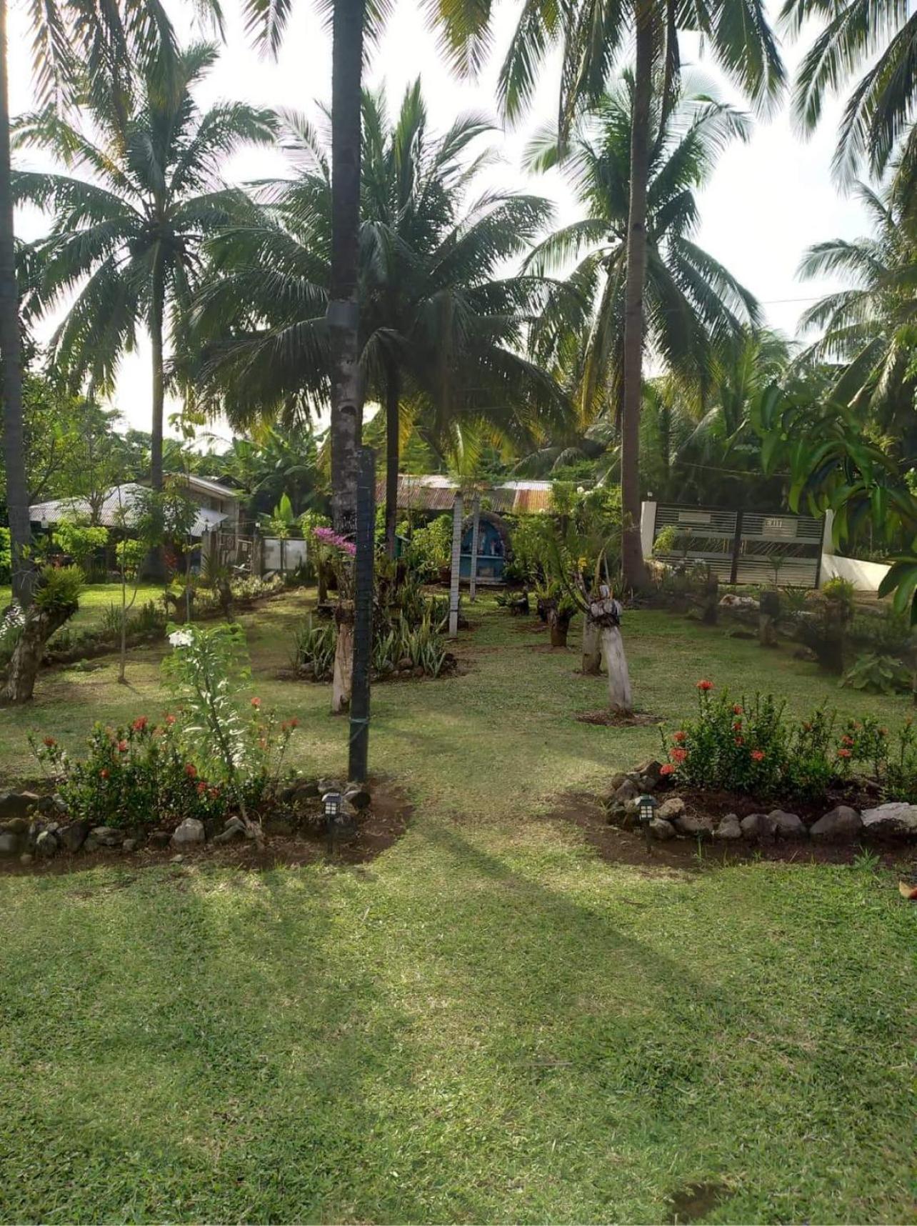 Photo 42