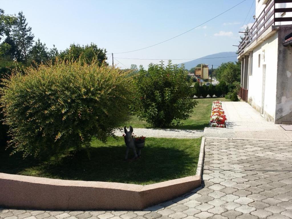 Apartman Tomy