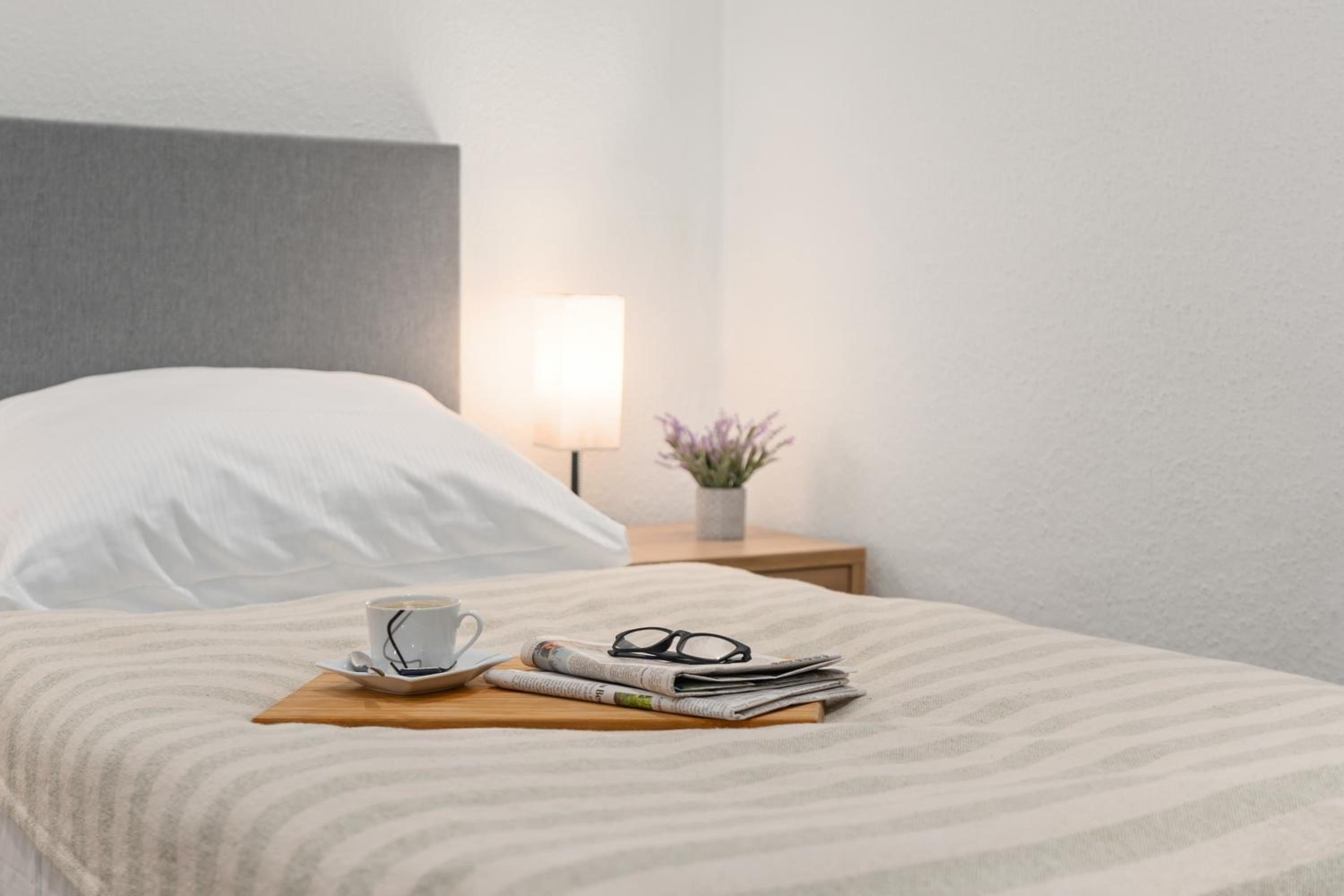 homey Apartments Park Suite