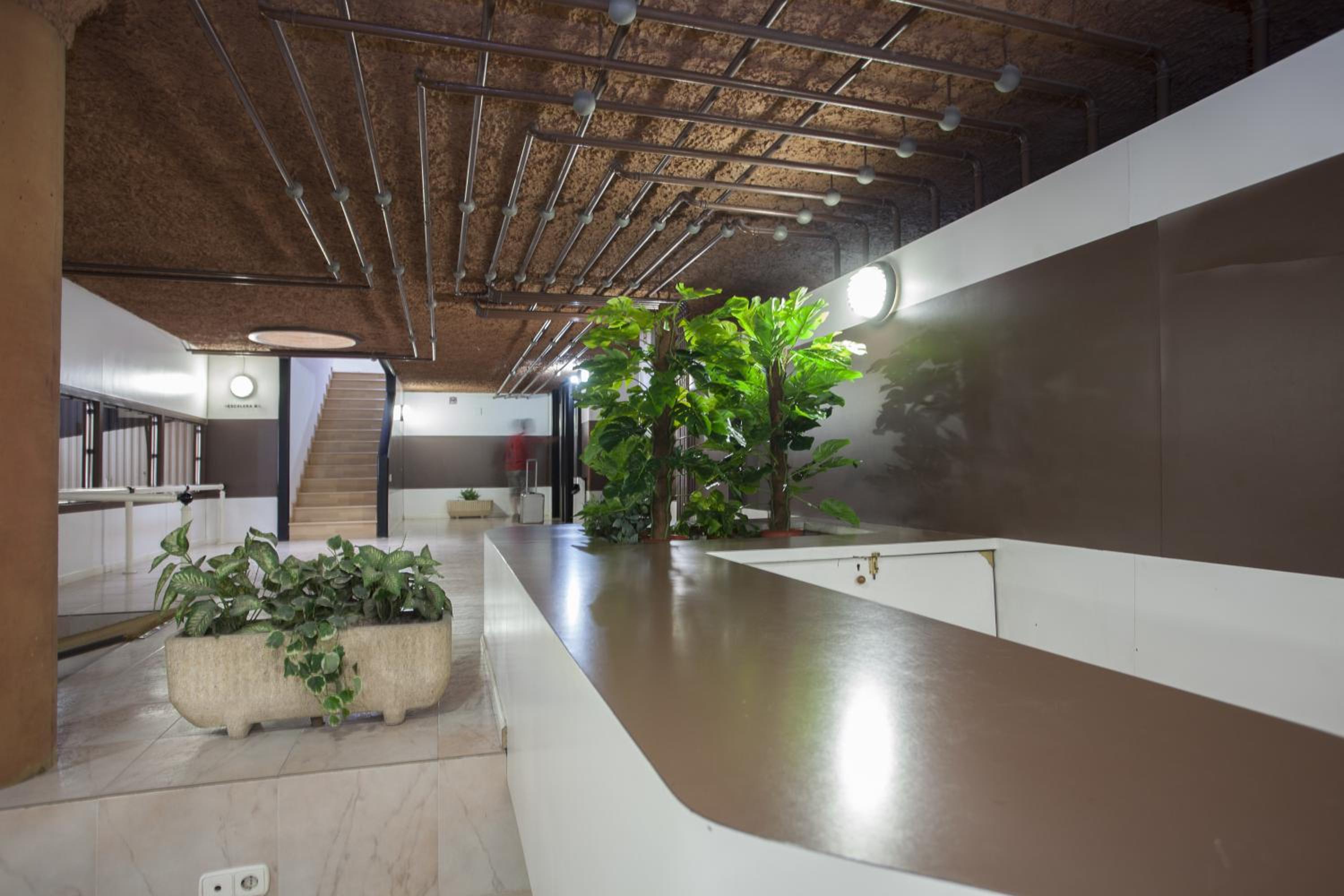 recepcion & lobby