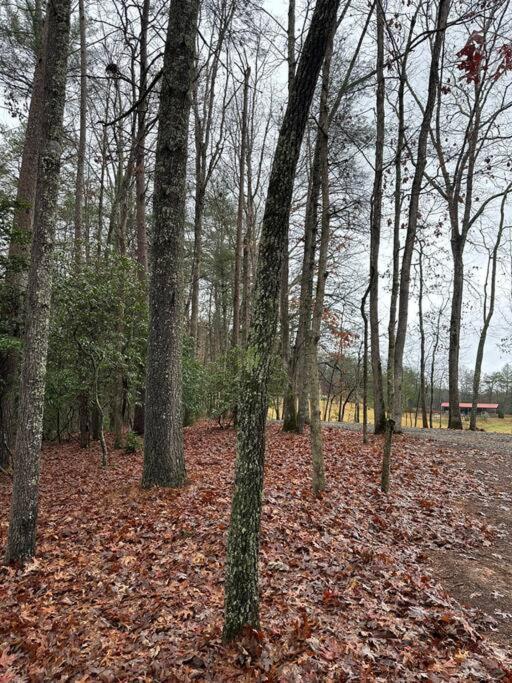 Private cozy cabin in the woods with great view view 3
