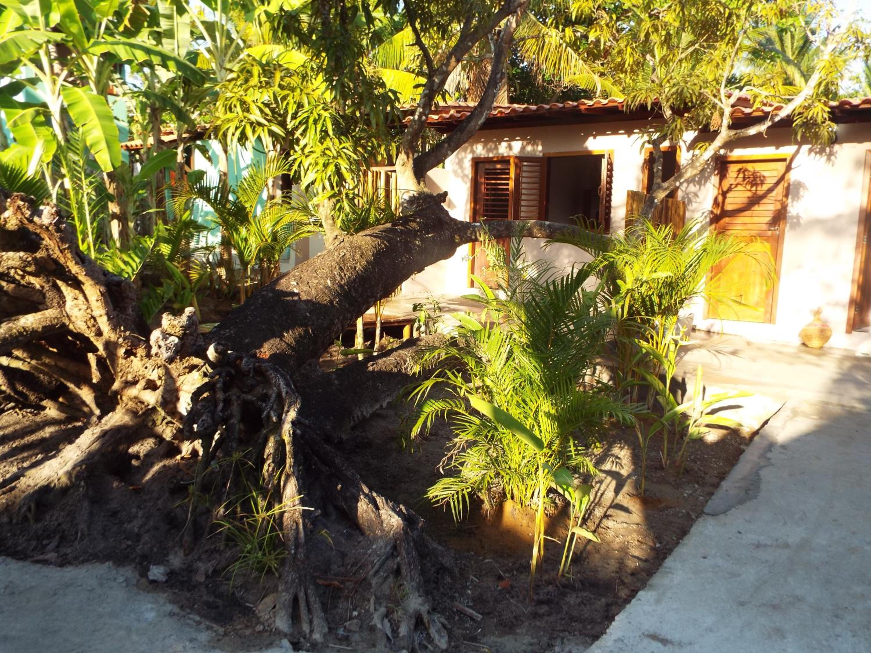 Jardim UIXA