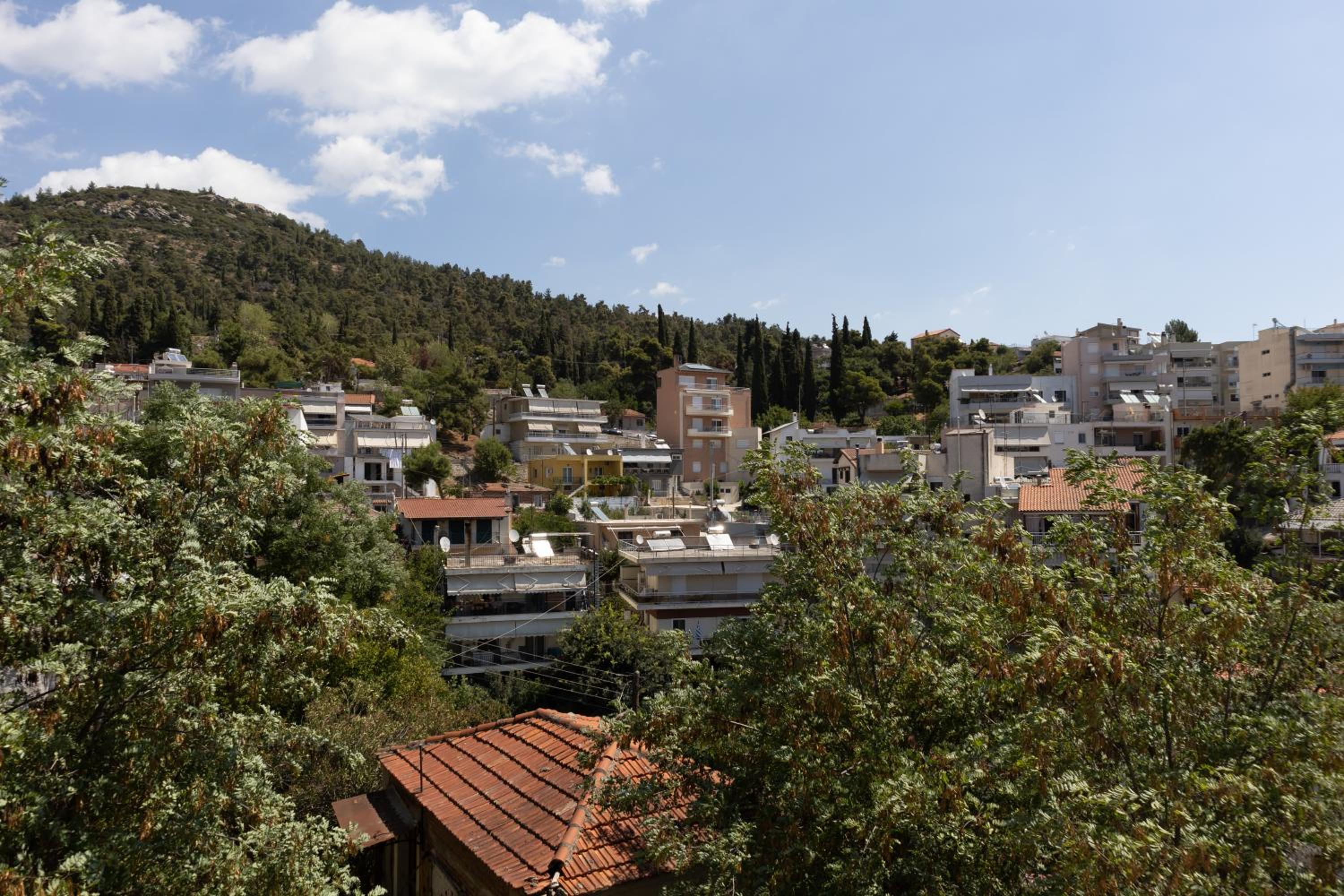 Bright Luxury Apartment (BLA) view 4