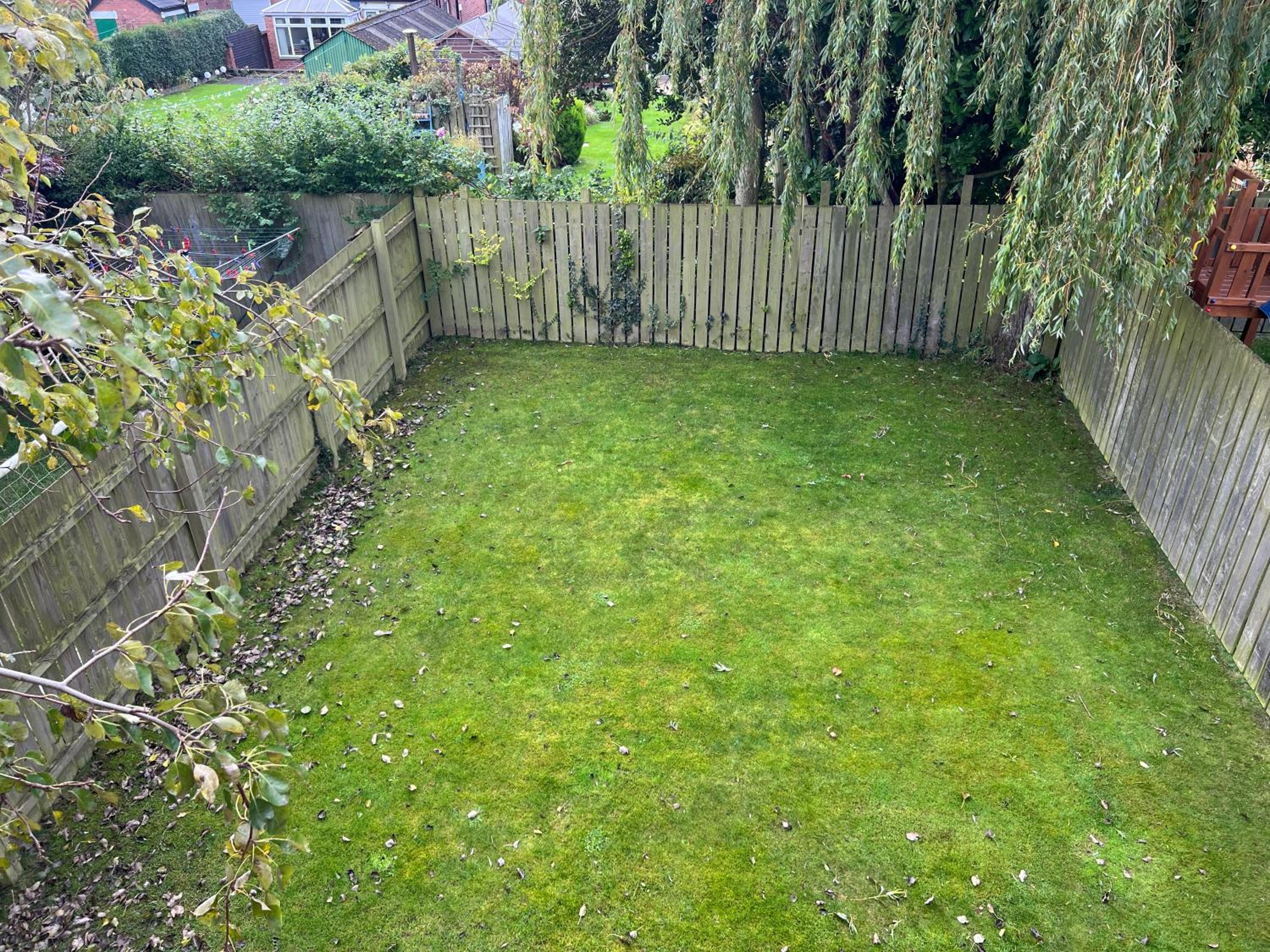 Photo 31