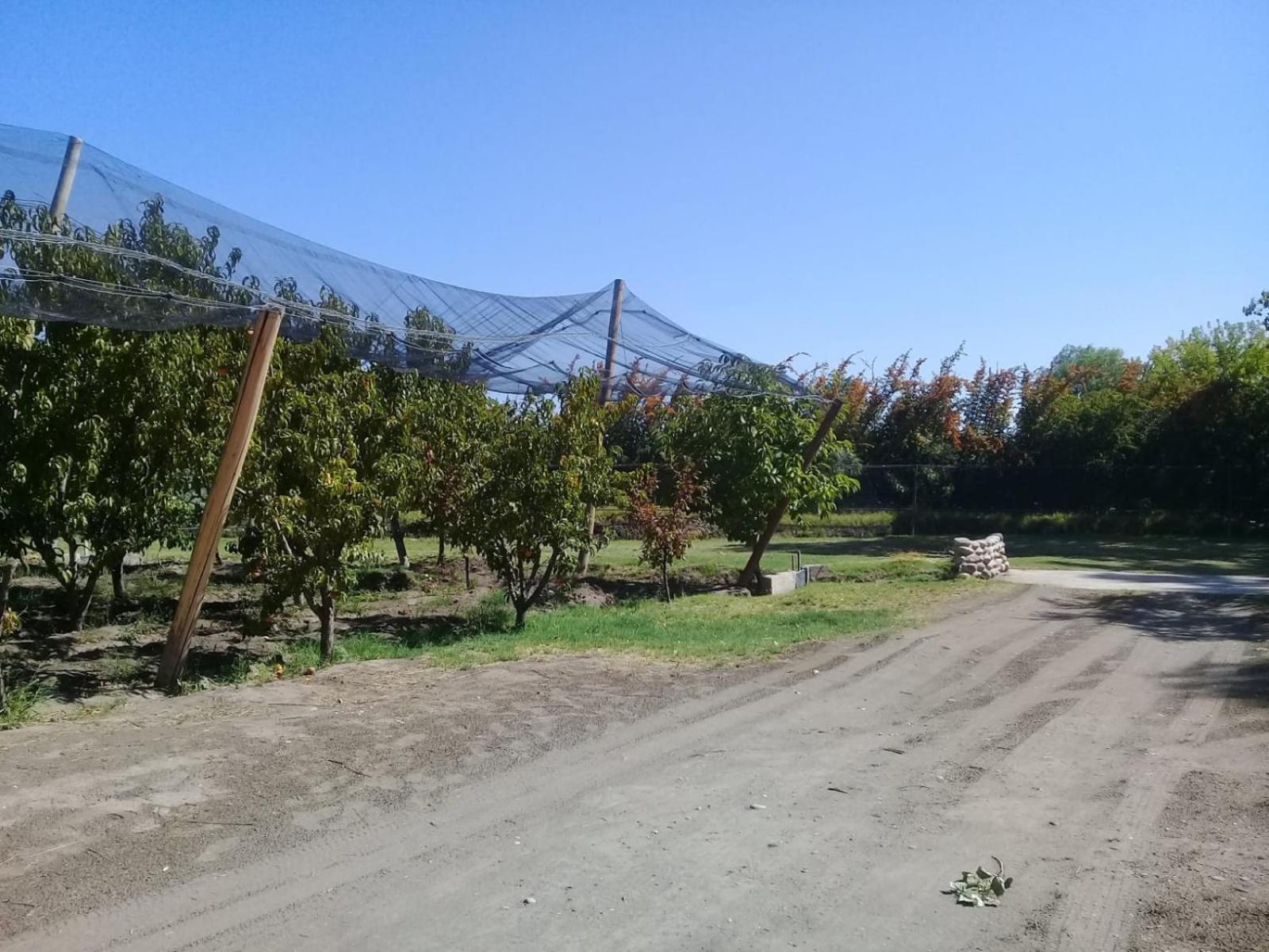 El Alto de las Paredes