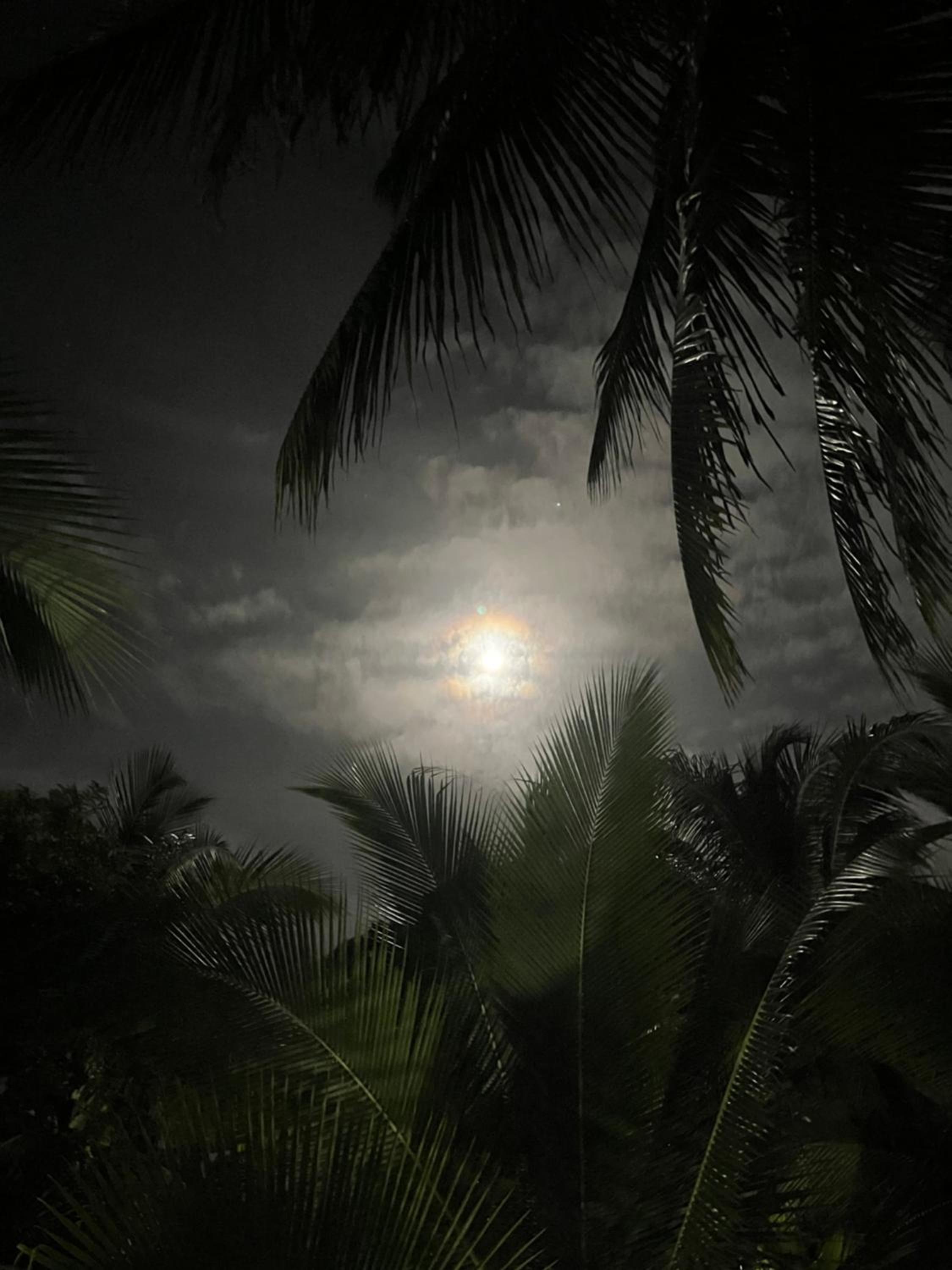 Secret Paradise