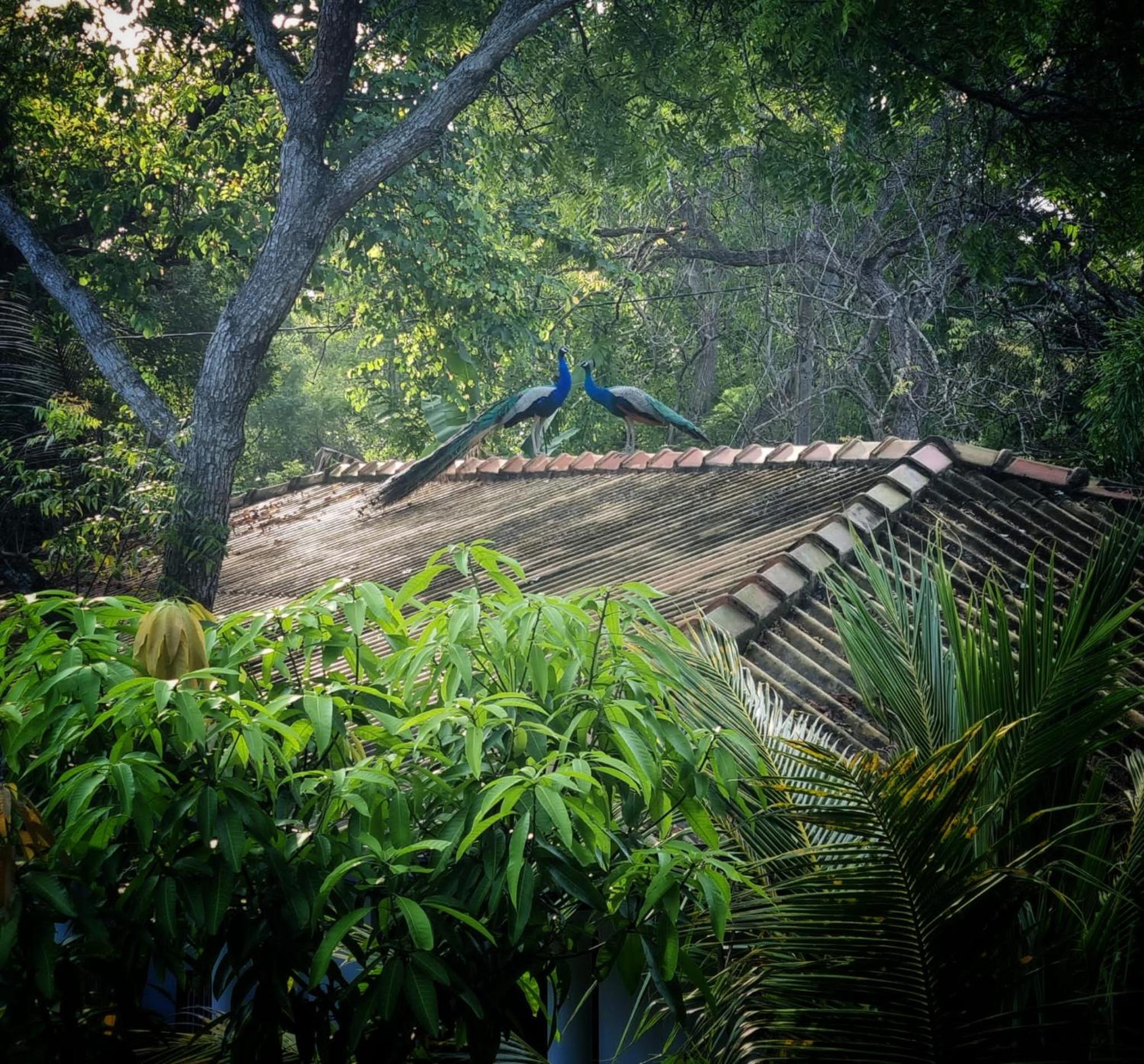 Relax Beach House view 5