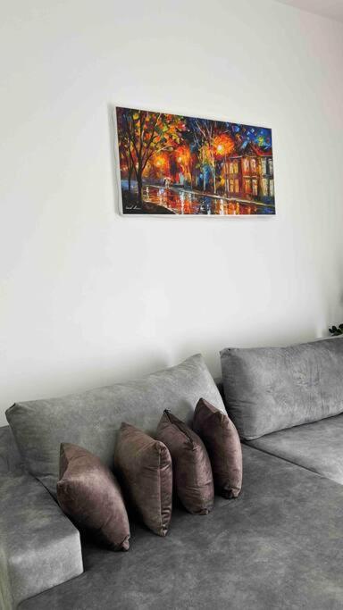 KLIA Sepang Putrajaya 2 rooms homestay +wifiNetflix