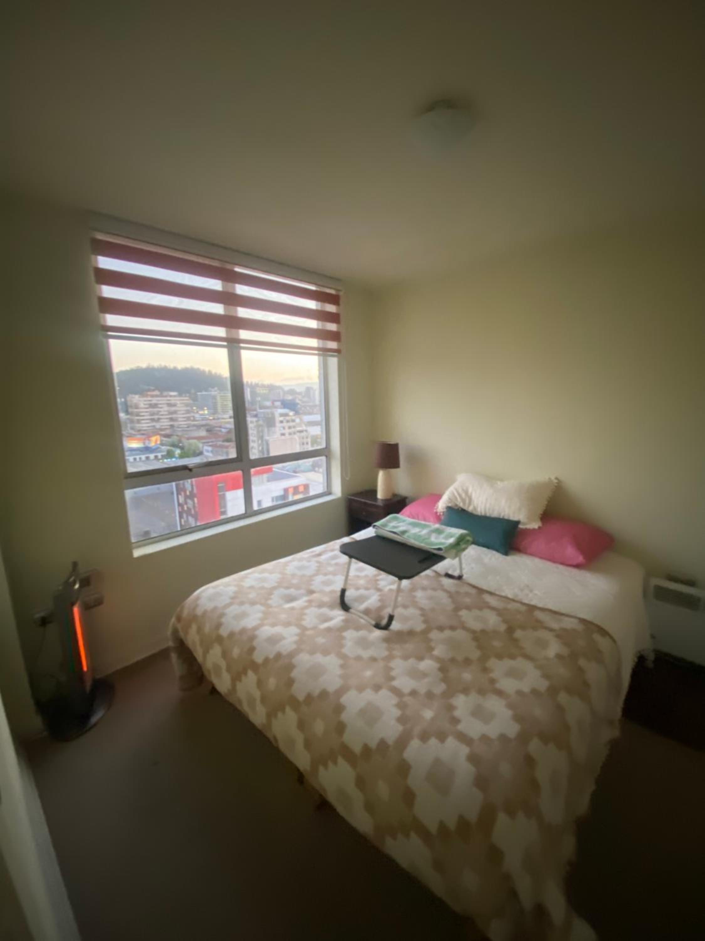 Vista Panorámica gran Concepción