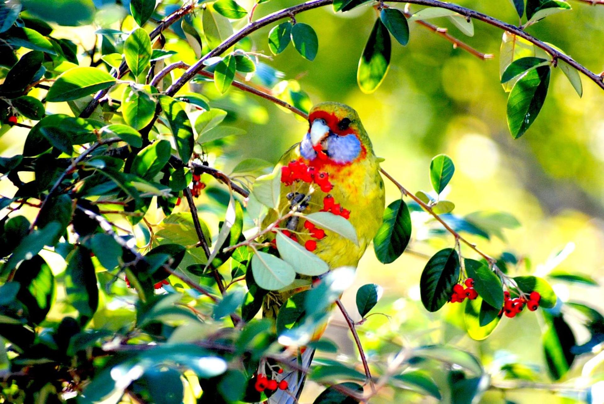 City Escape Taroona - Property Image 11