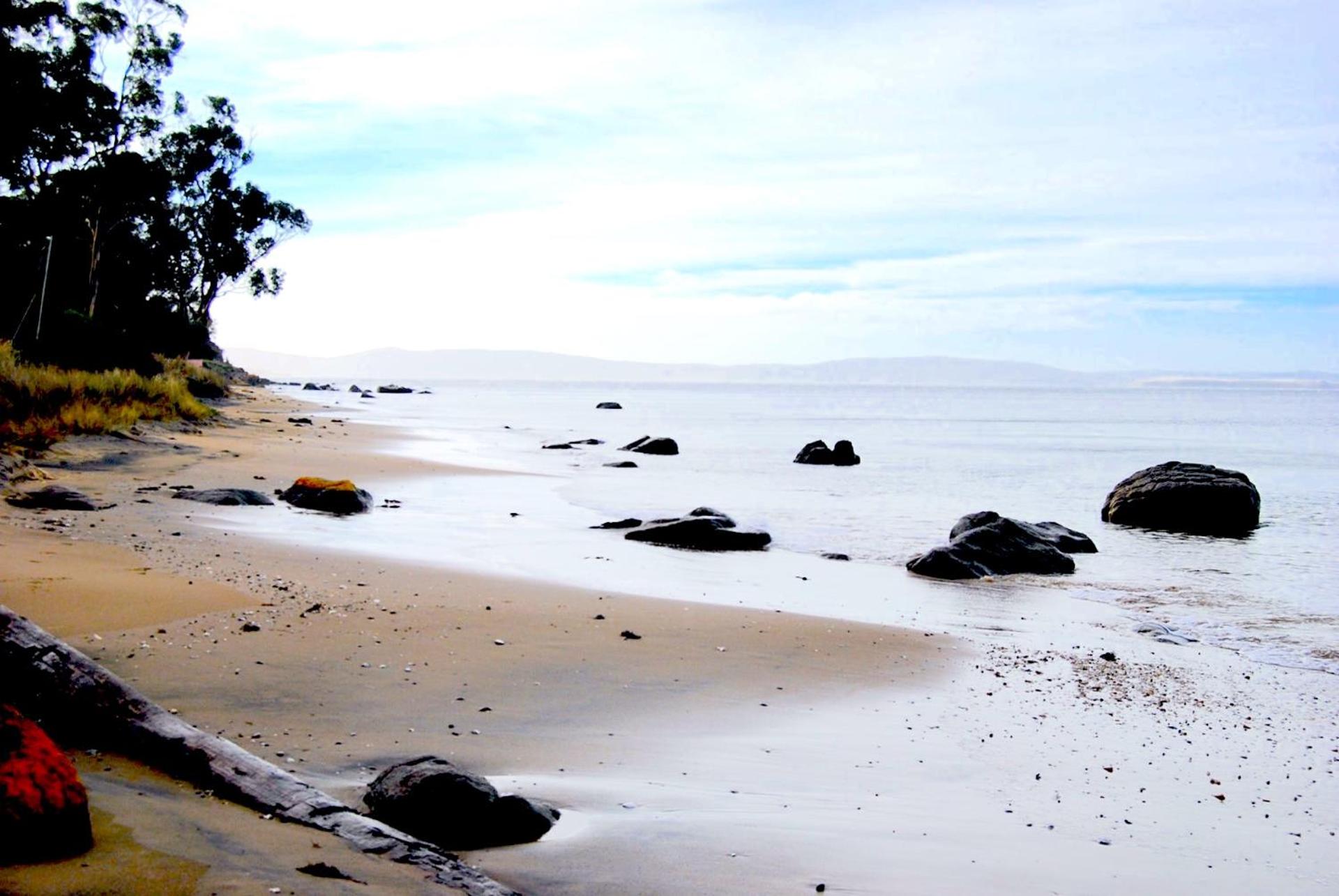 City Escape Taroona - Property Image 9