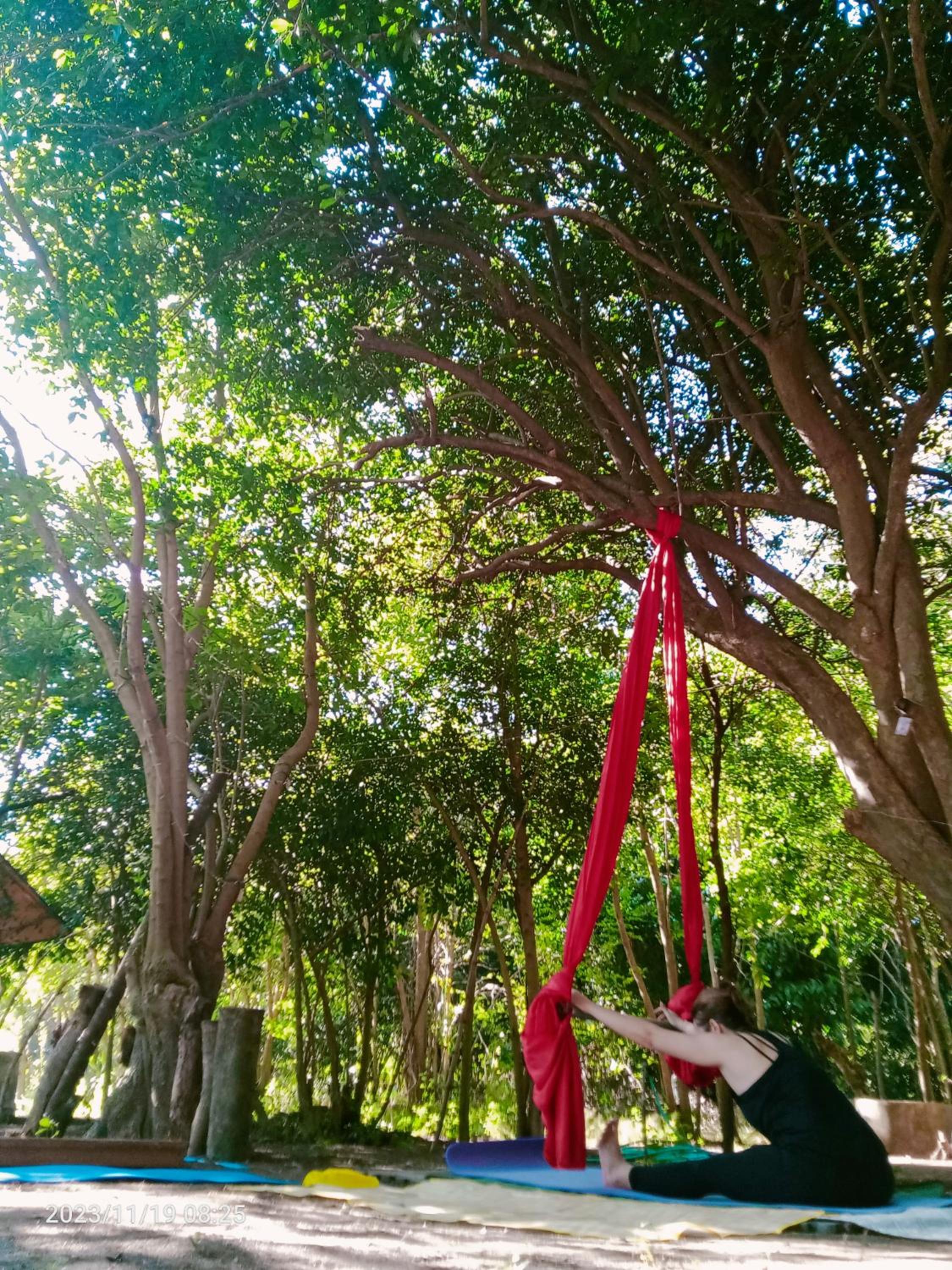 JUNGLE AERIAL ARTS NAMASTE LA UNION Chi fan kubo 2pax, photo 93