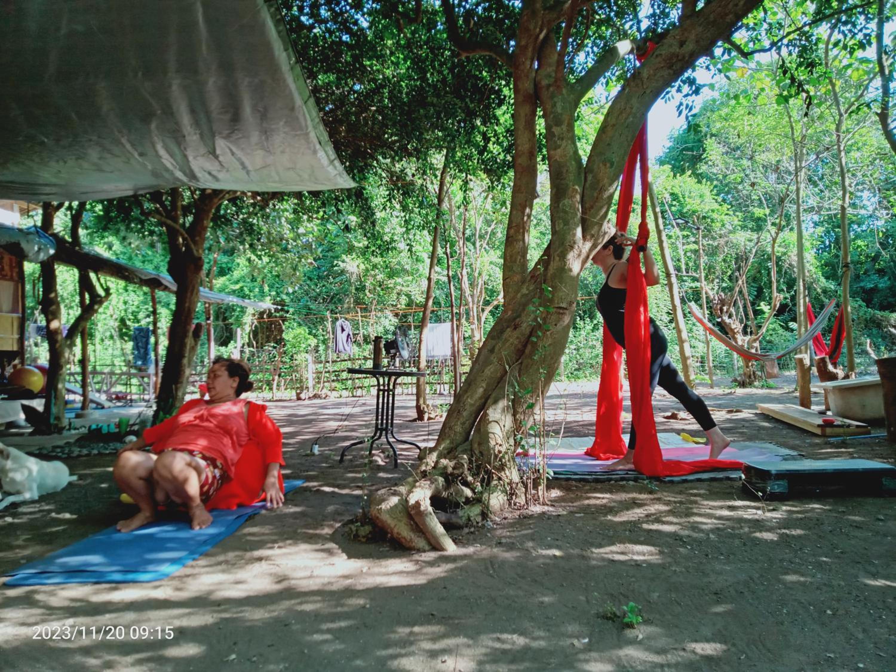 JUNGLE AERIAL ARTS NAMASTE LA UNION Chi fan kubo 2pax, photo 148