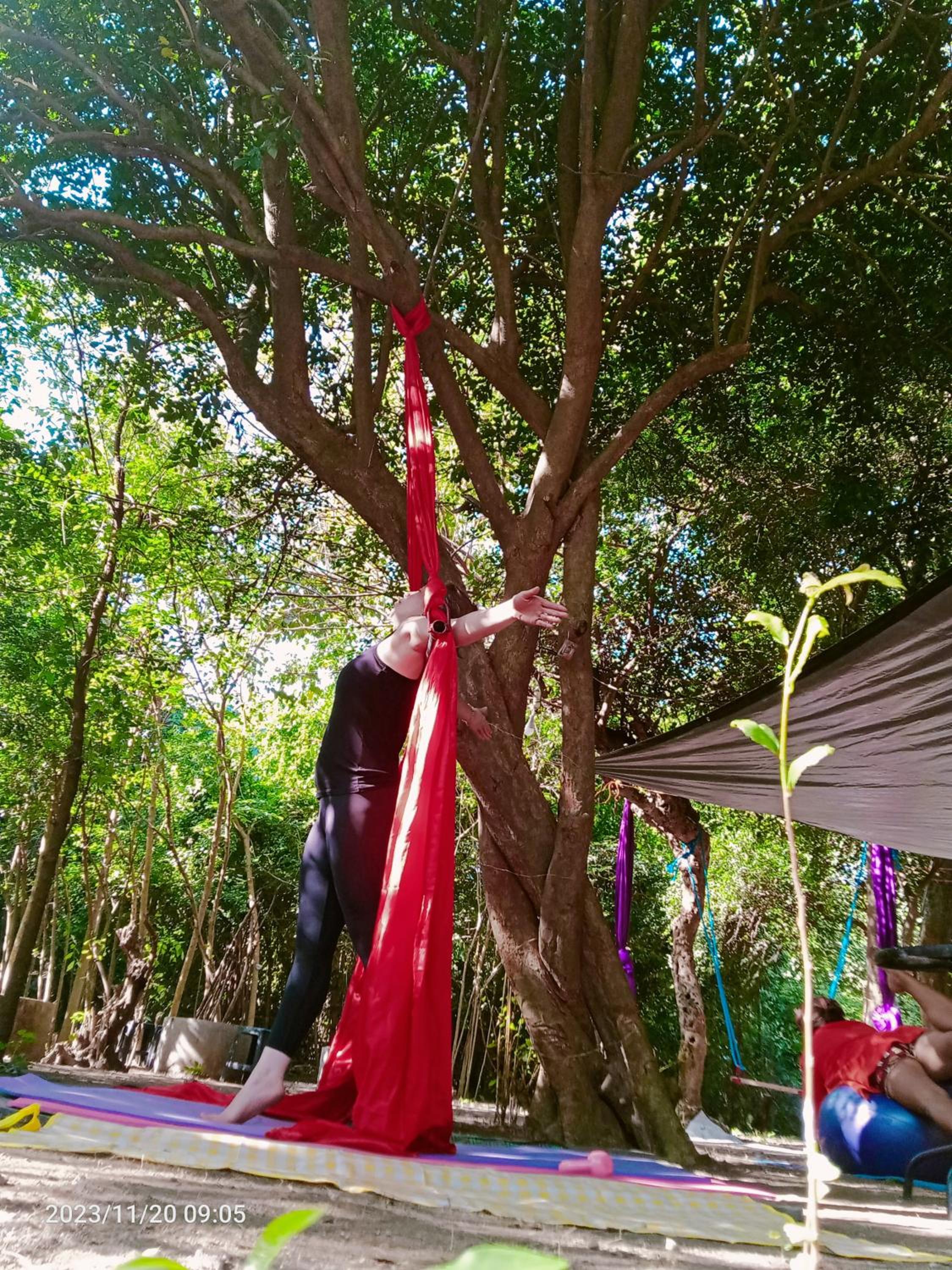 JUNGLE AERIAL ARTS NAMASTE LA UNION Chi fan kubo 2pax, photo 215