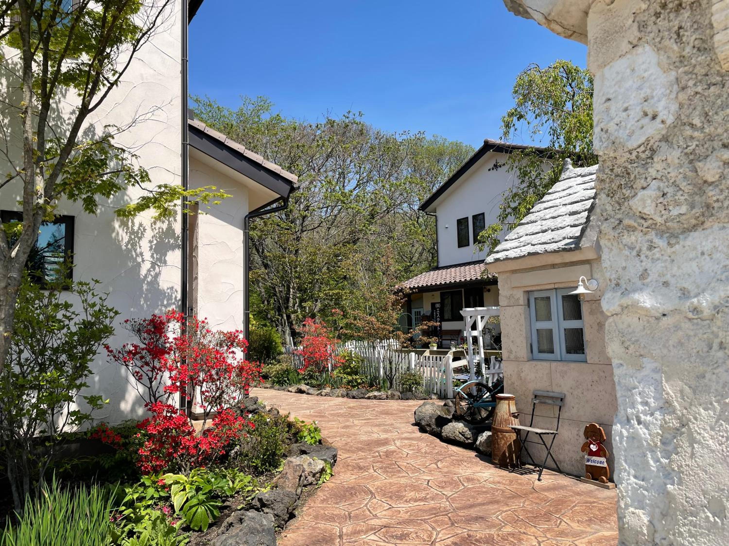 Photo 49