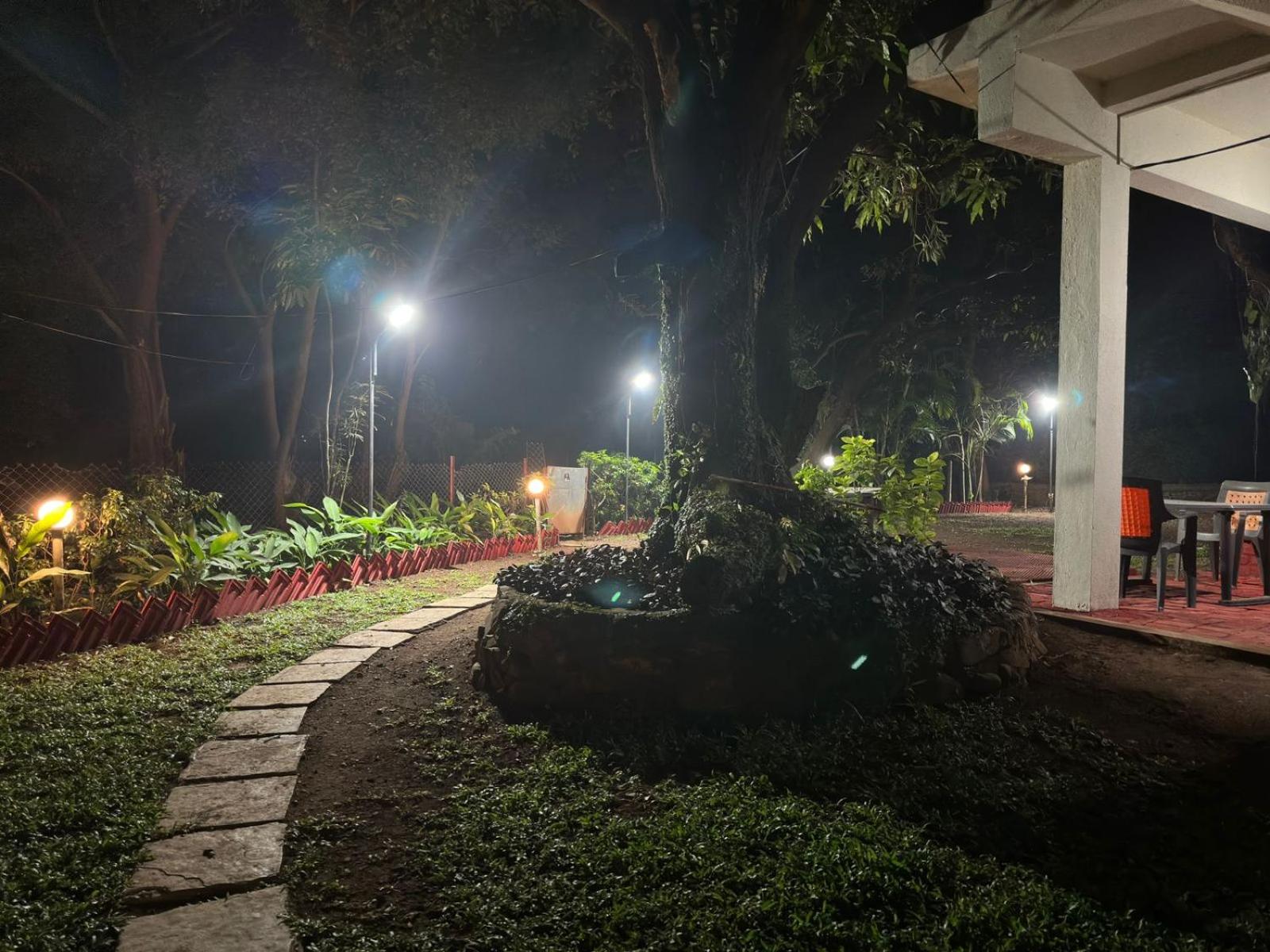 Photo 20