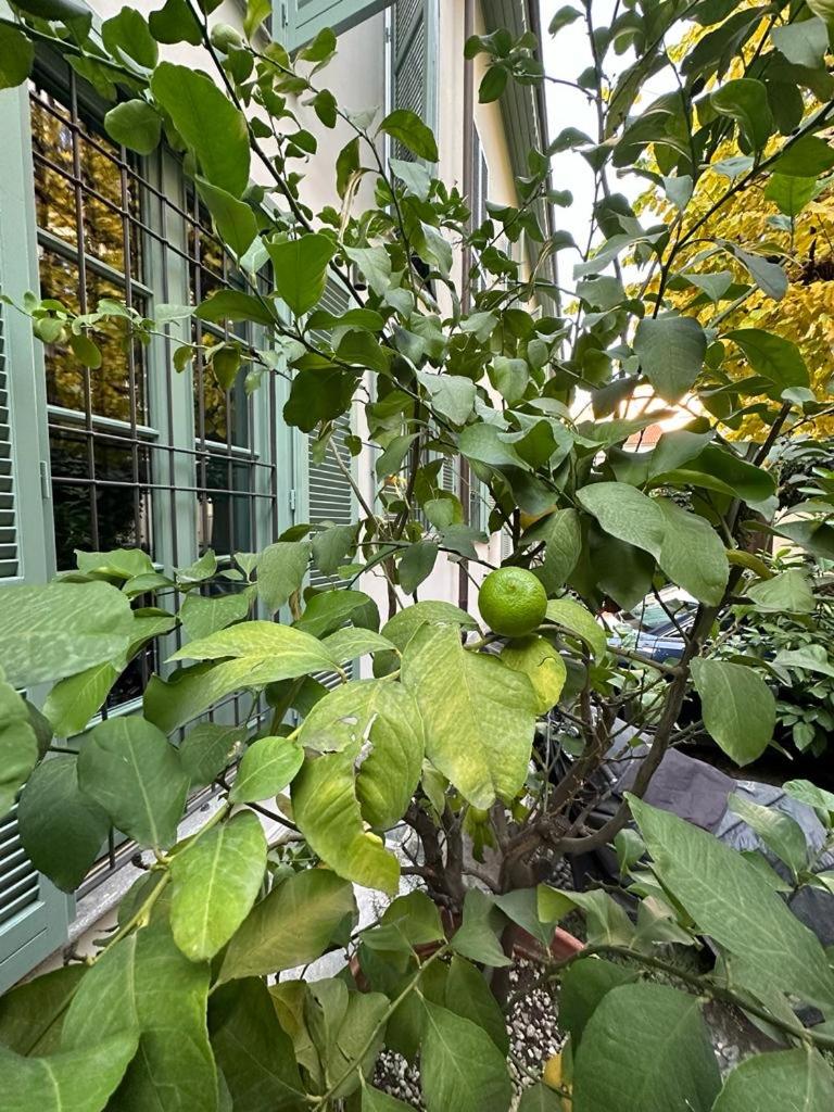 DELLA ROCCA URBAN RELAIS view 3